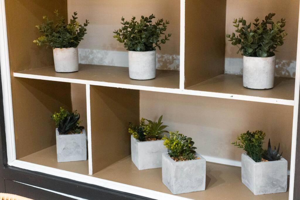 Arrendamiento nuevo apartamento con balcón By Roots Rentals NID202