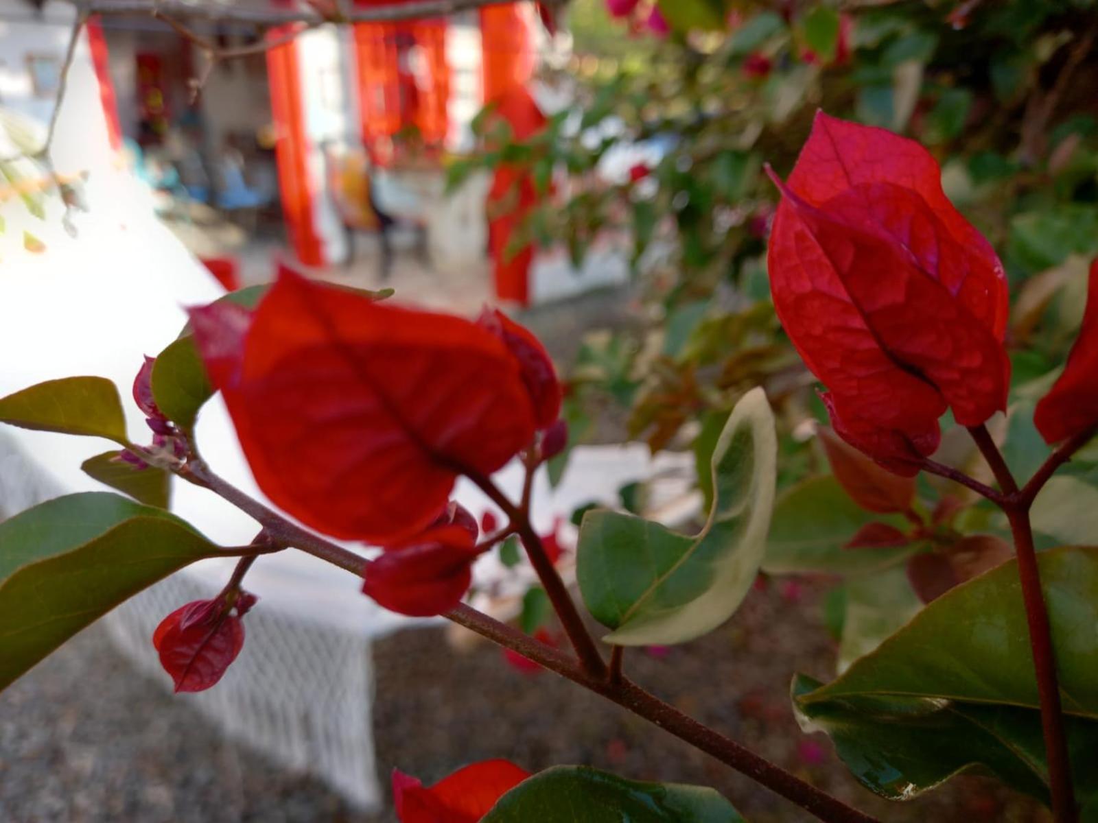 Hotel Casa Hotel Villa Marta - Image 1