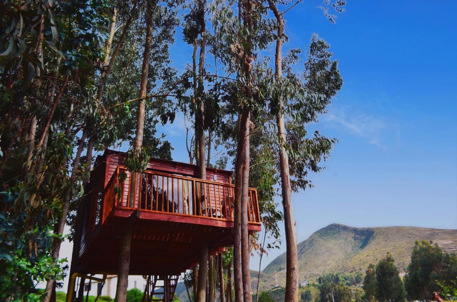 Casa en el Árbol Guatavita