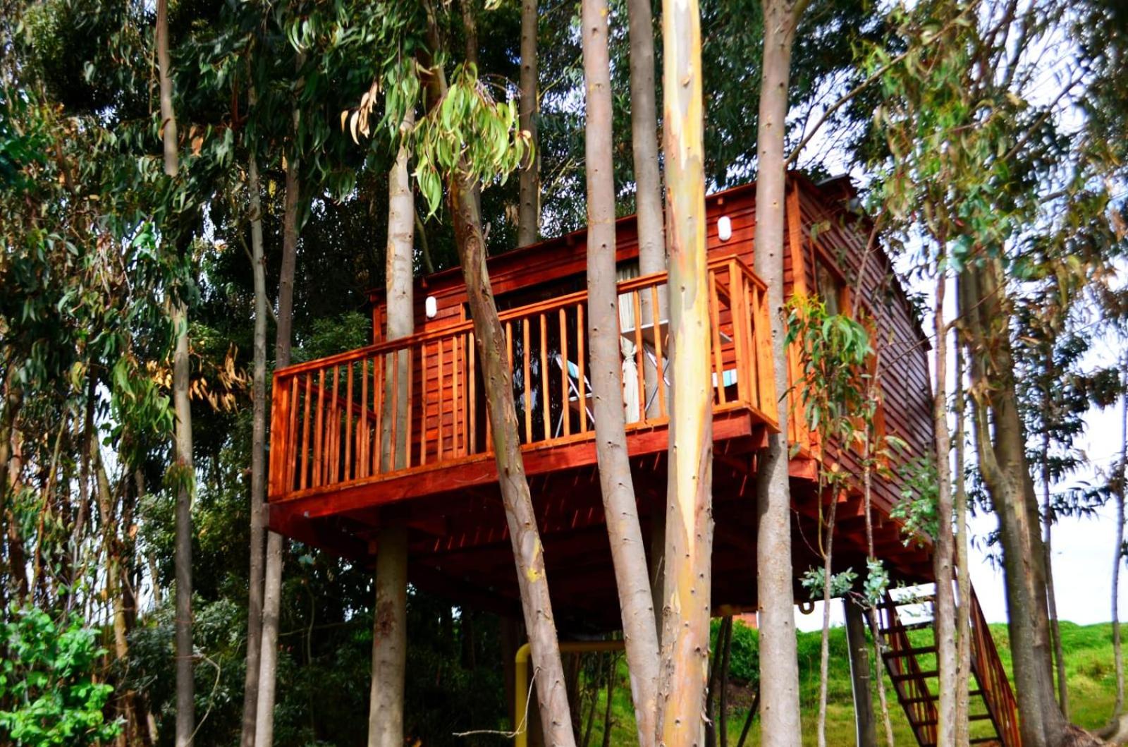 Casa en el Árbol Guatavita