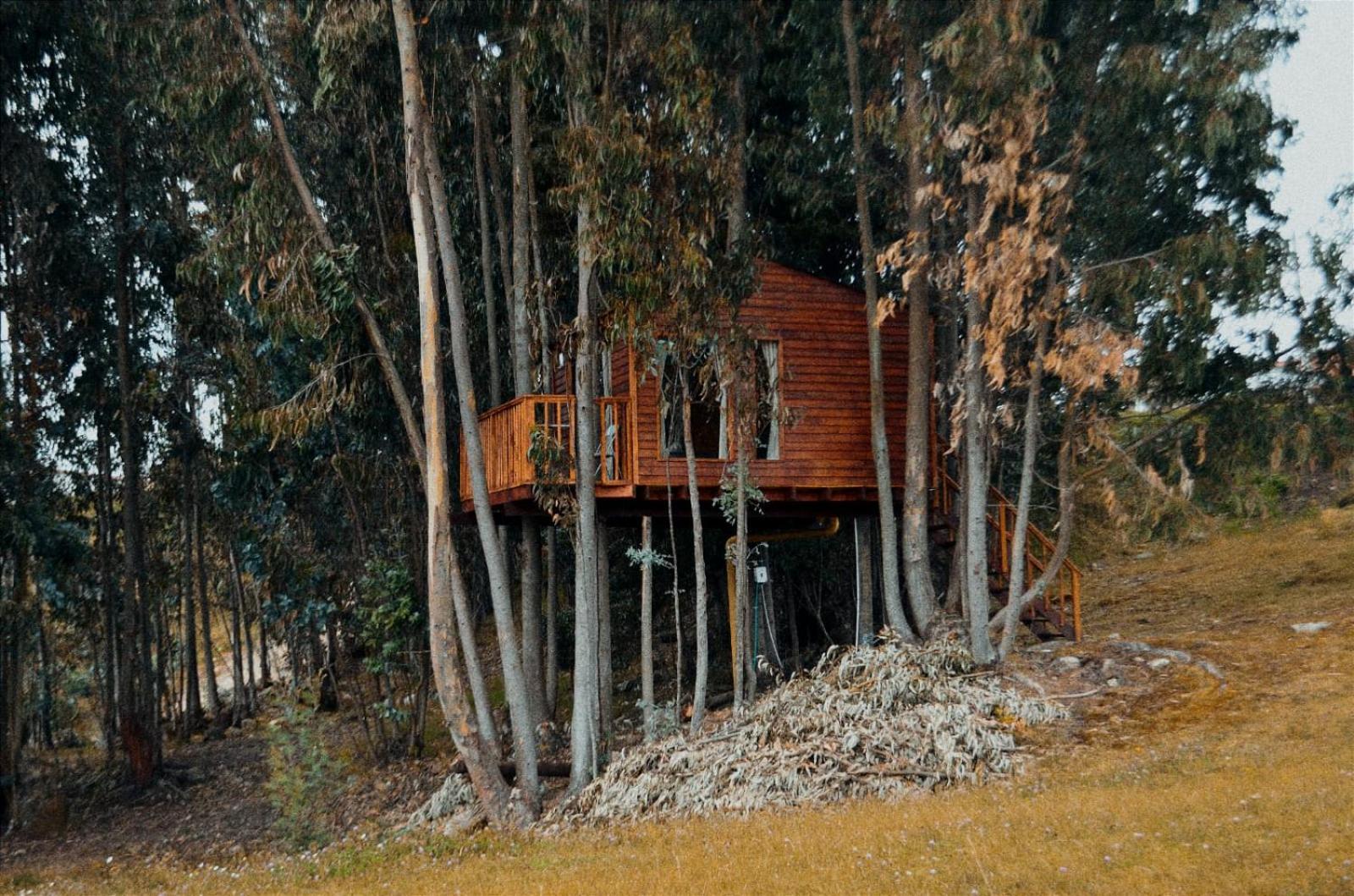 Casa en el Árbol Guatavita