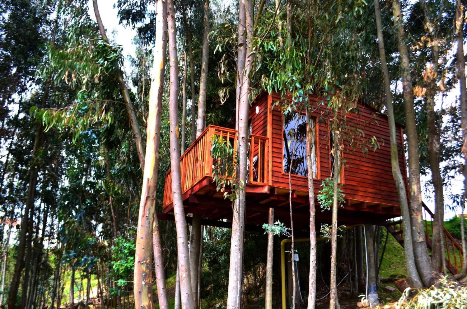 Casa en el Árbol Guatavita
