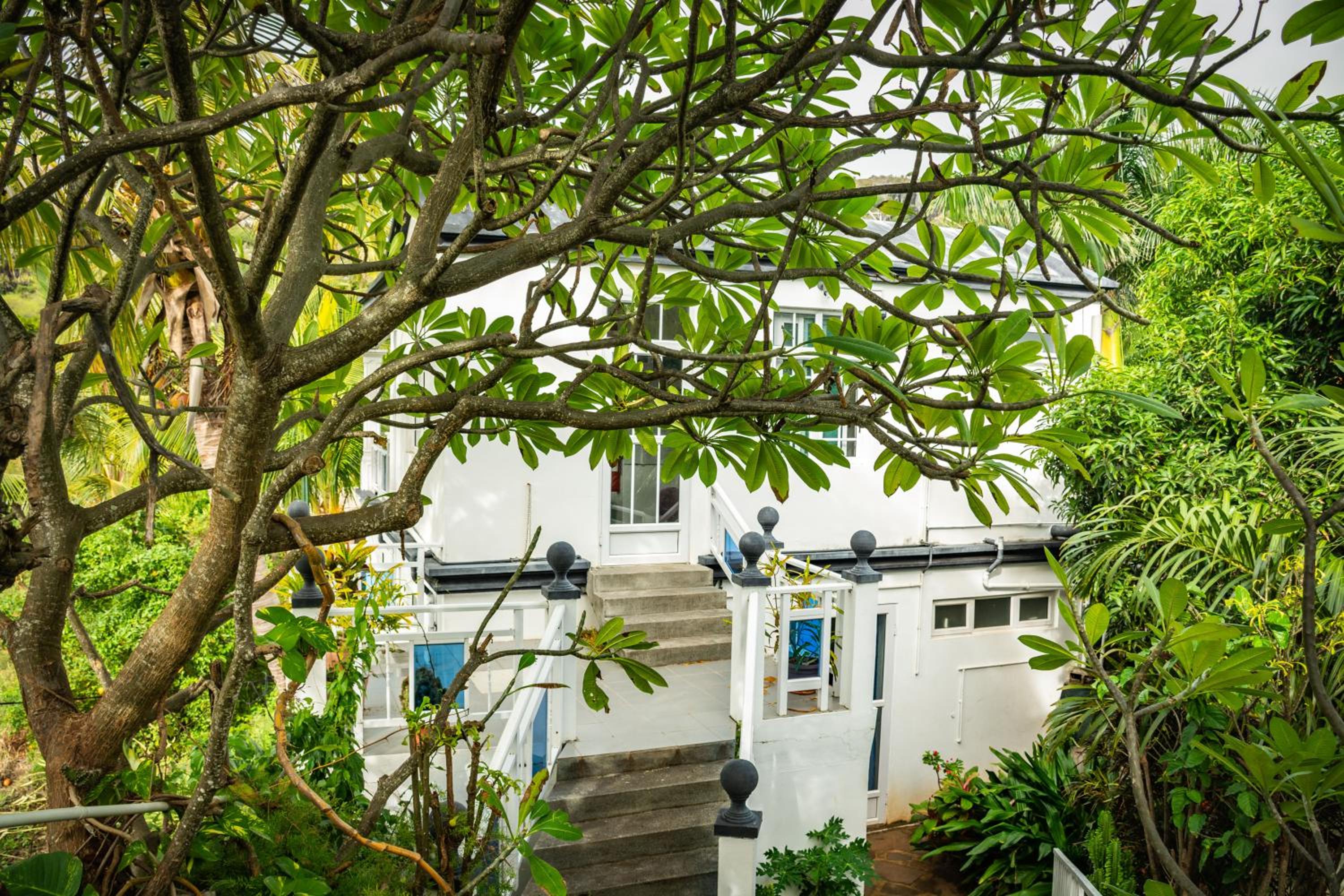 La Villa Allamanda