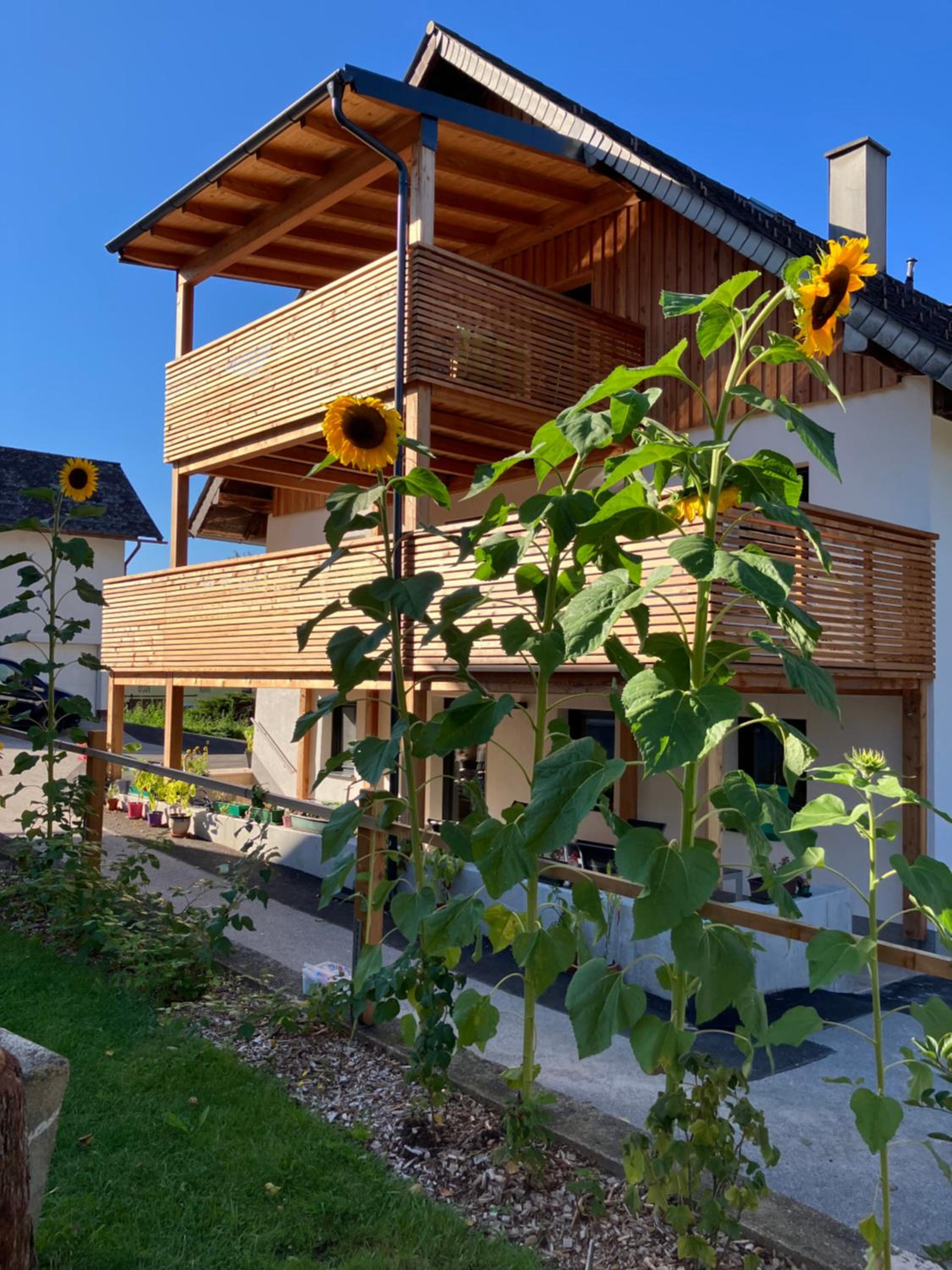 Biohof Auinger, der Tiererlebnishof