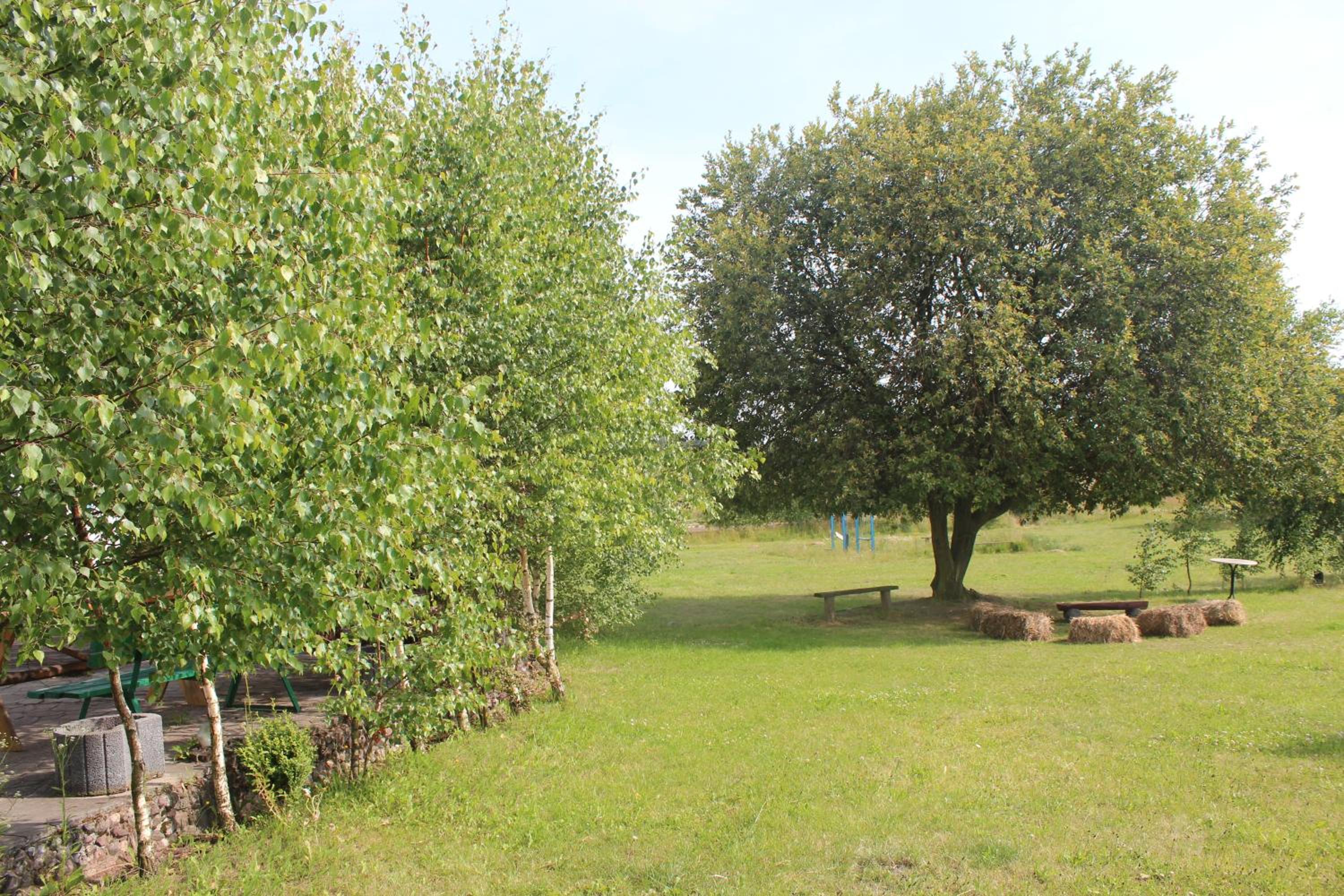 Photo 47