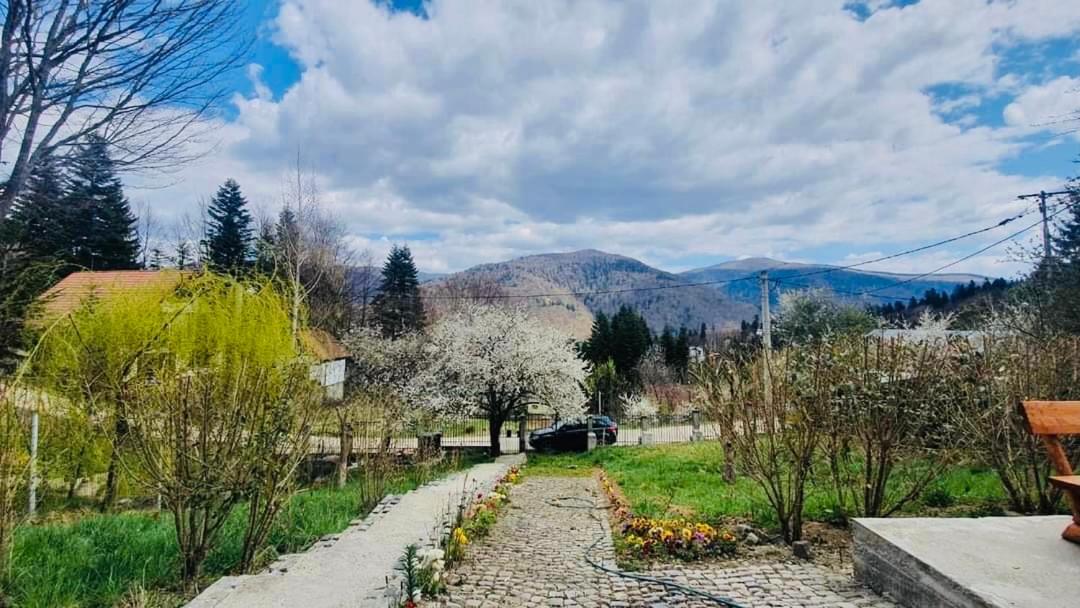 Iepurasul Sinaia