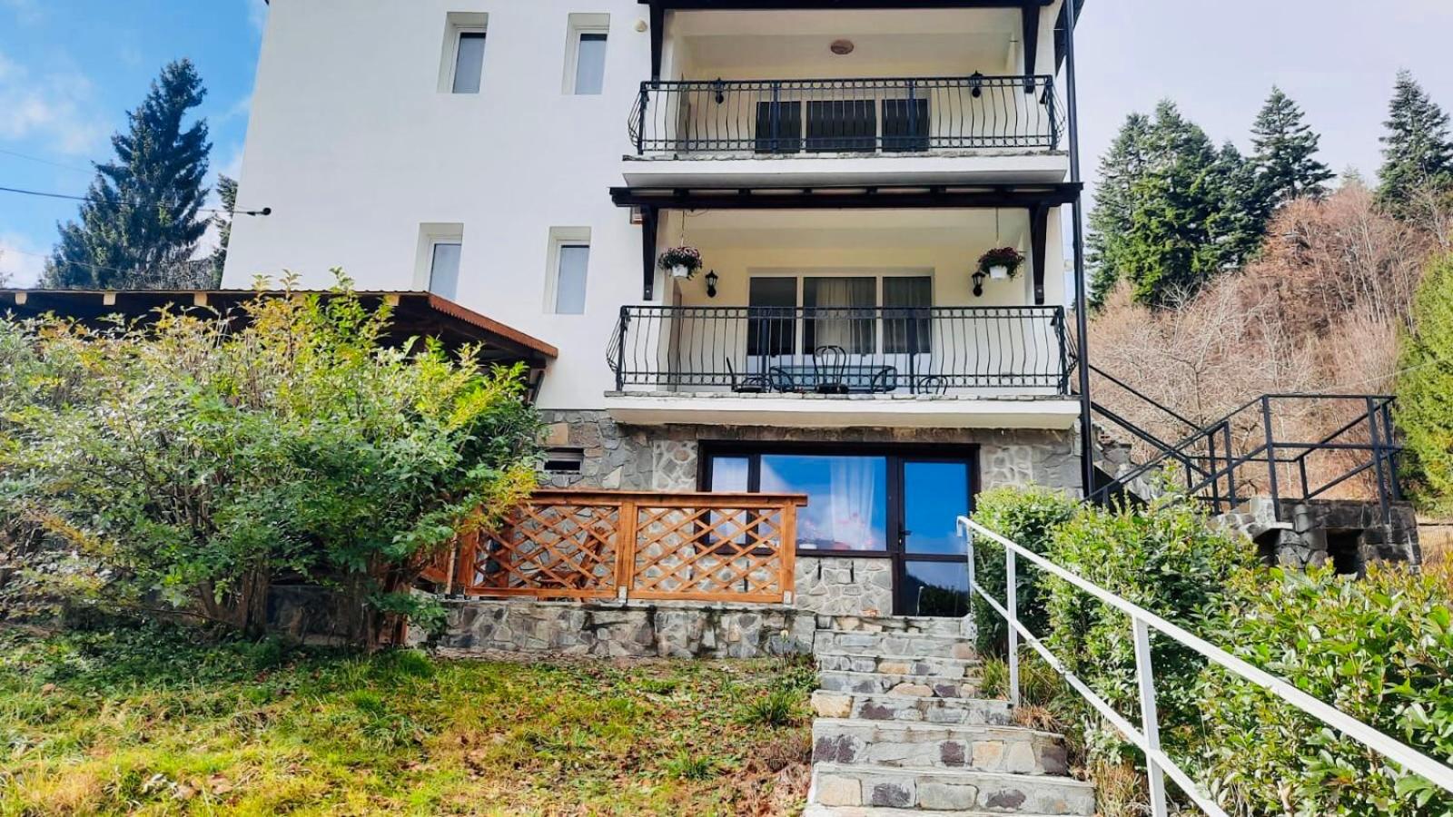 Iepurasul Sinaia