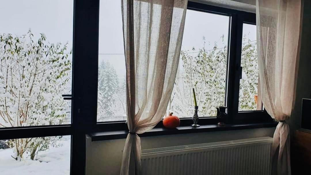 Iepurasul Sinaia