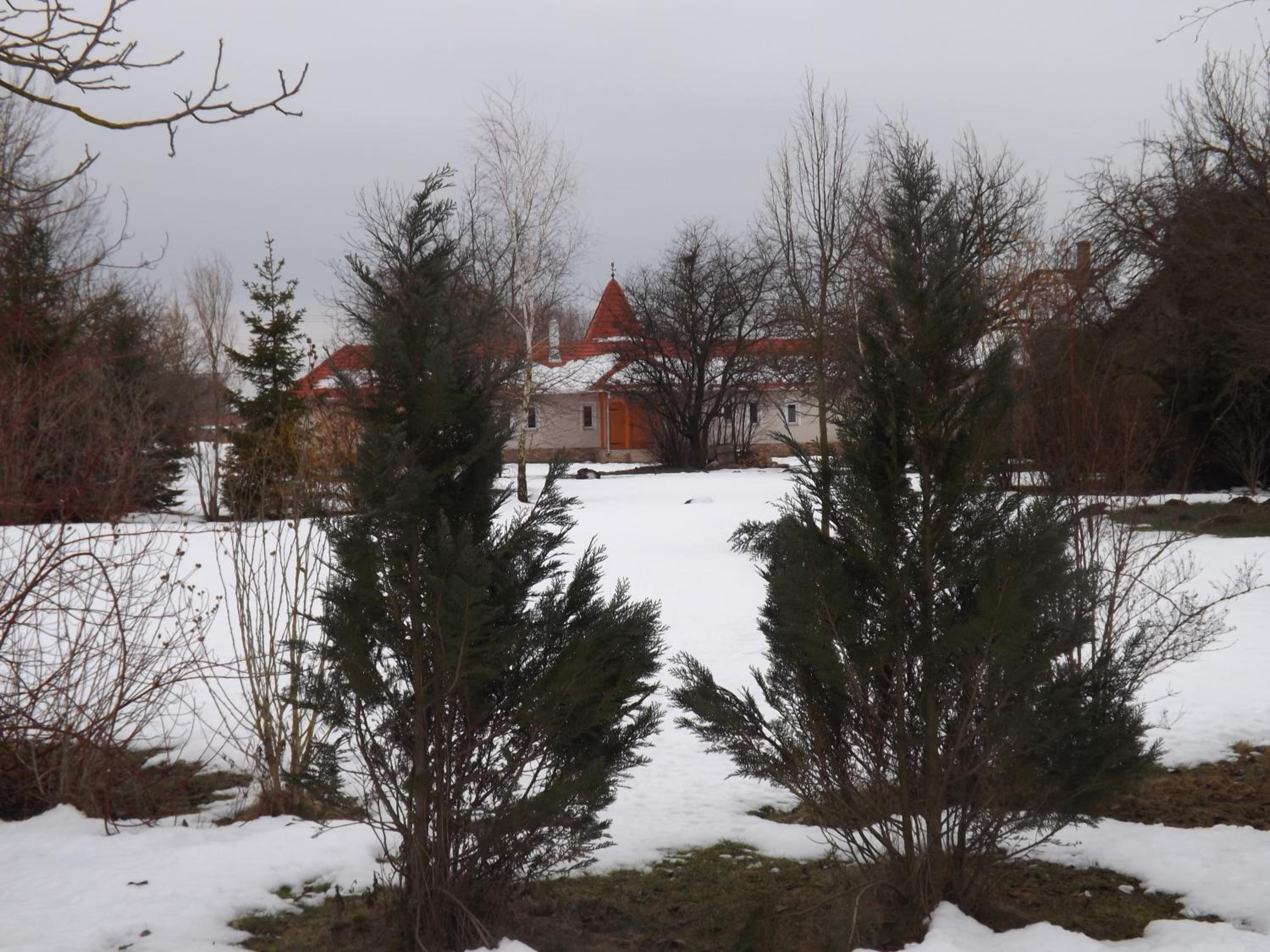 Photo 45