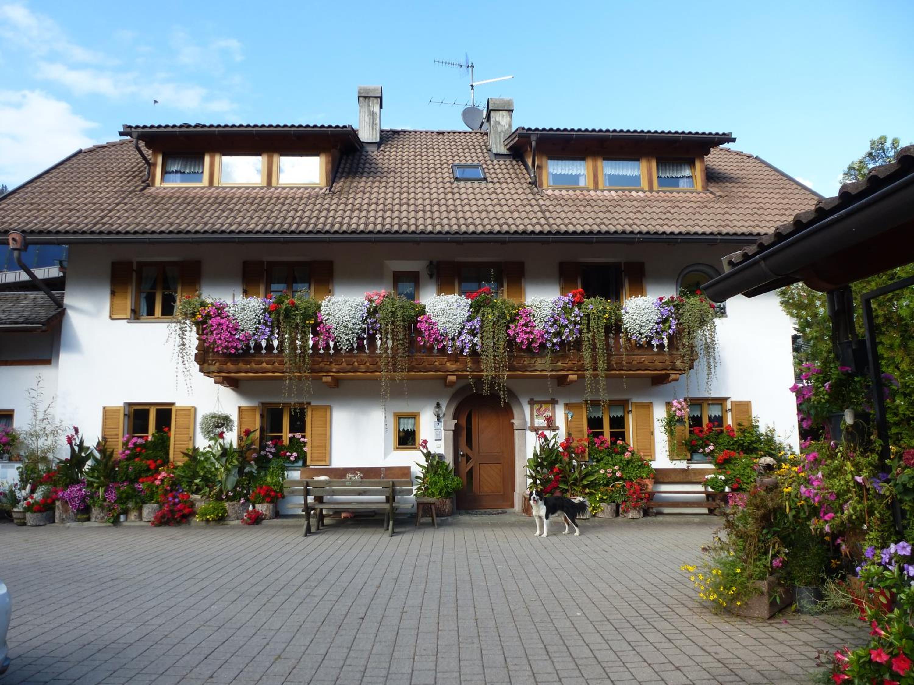 Haus Ploner - Pichlerhof