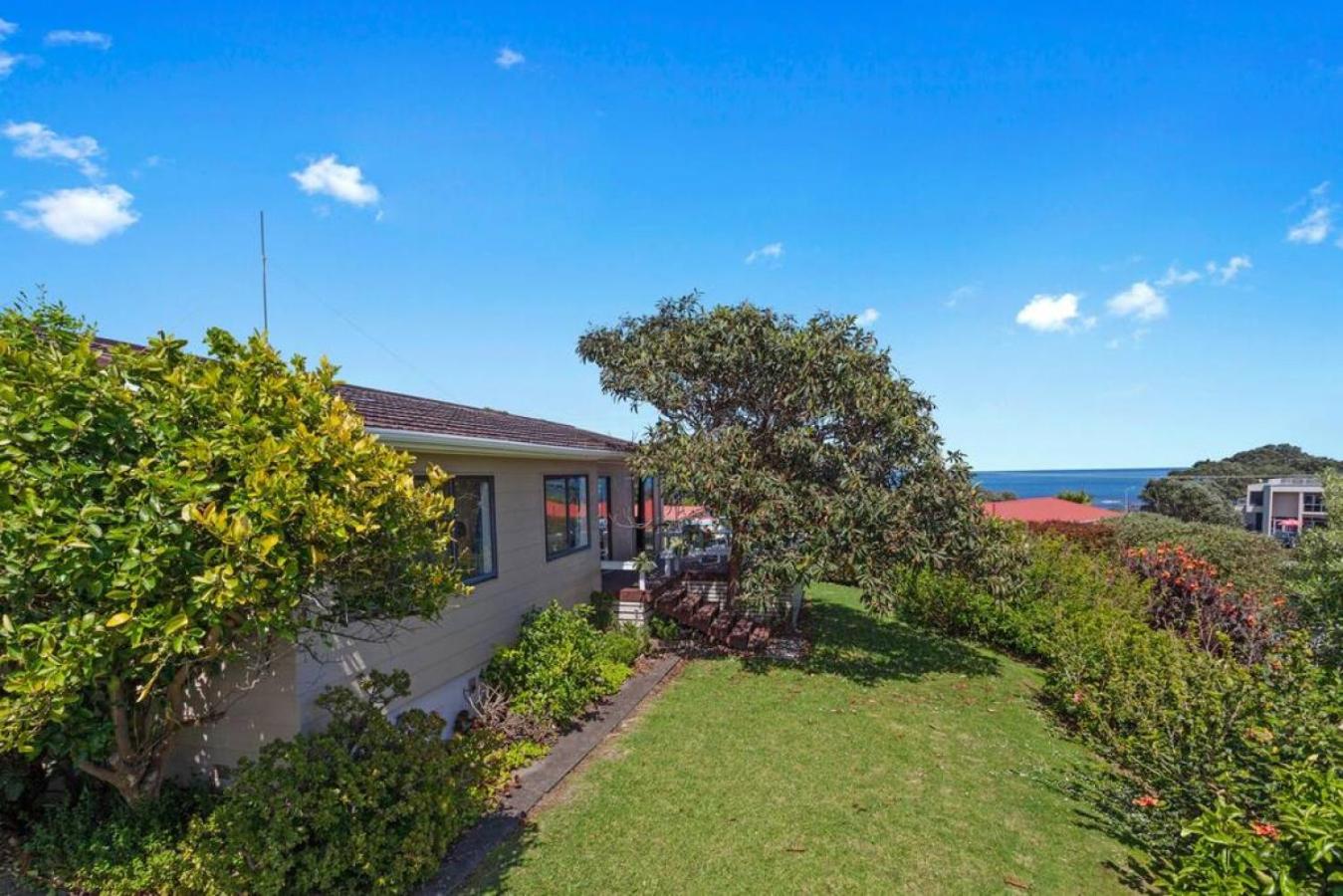 Amongst the Action - Te Kaha view 3