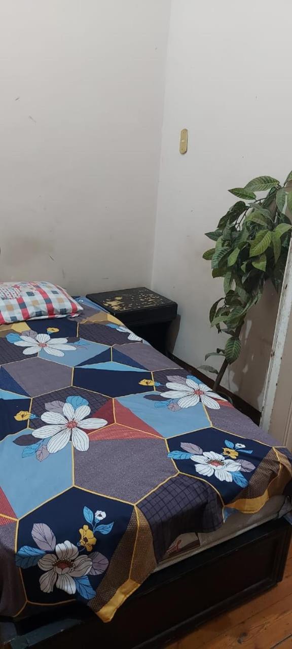 New Safari Hostel