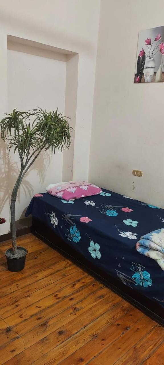 New Safari Hostel
