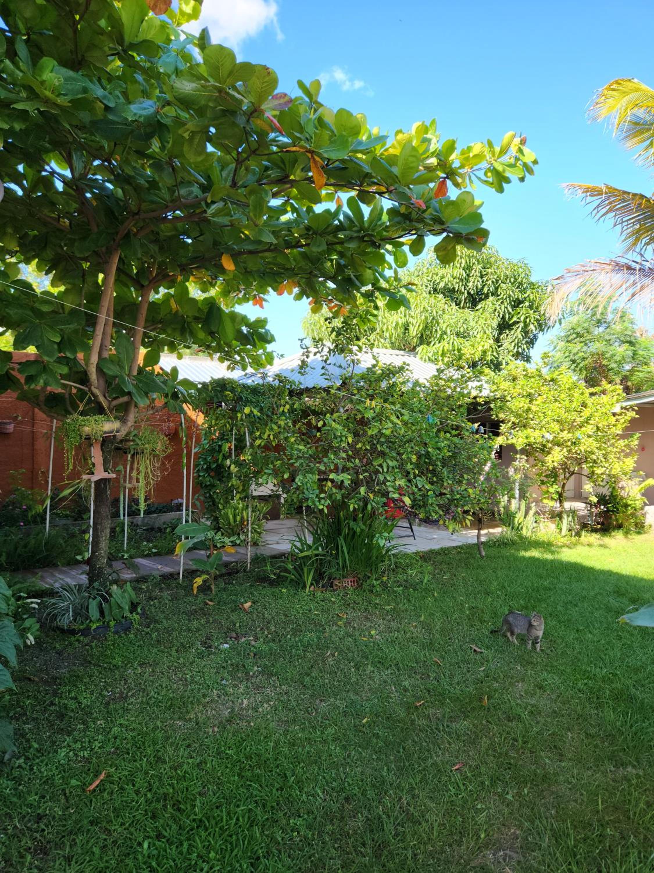 Photo 41