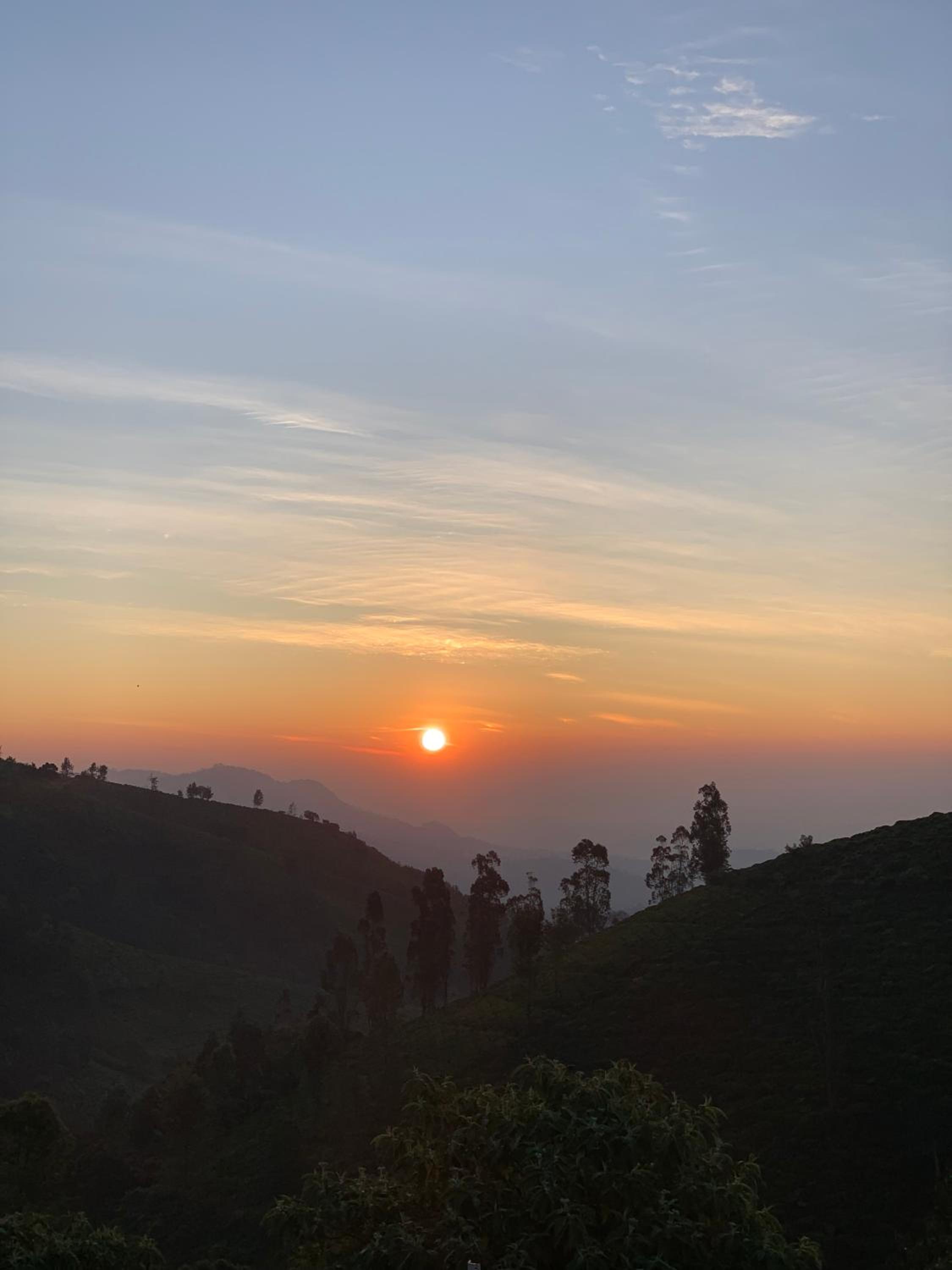 DIAMOND HILL VIEW, photo 28