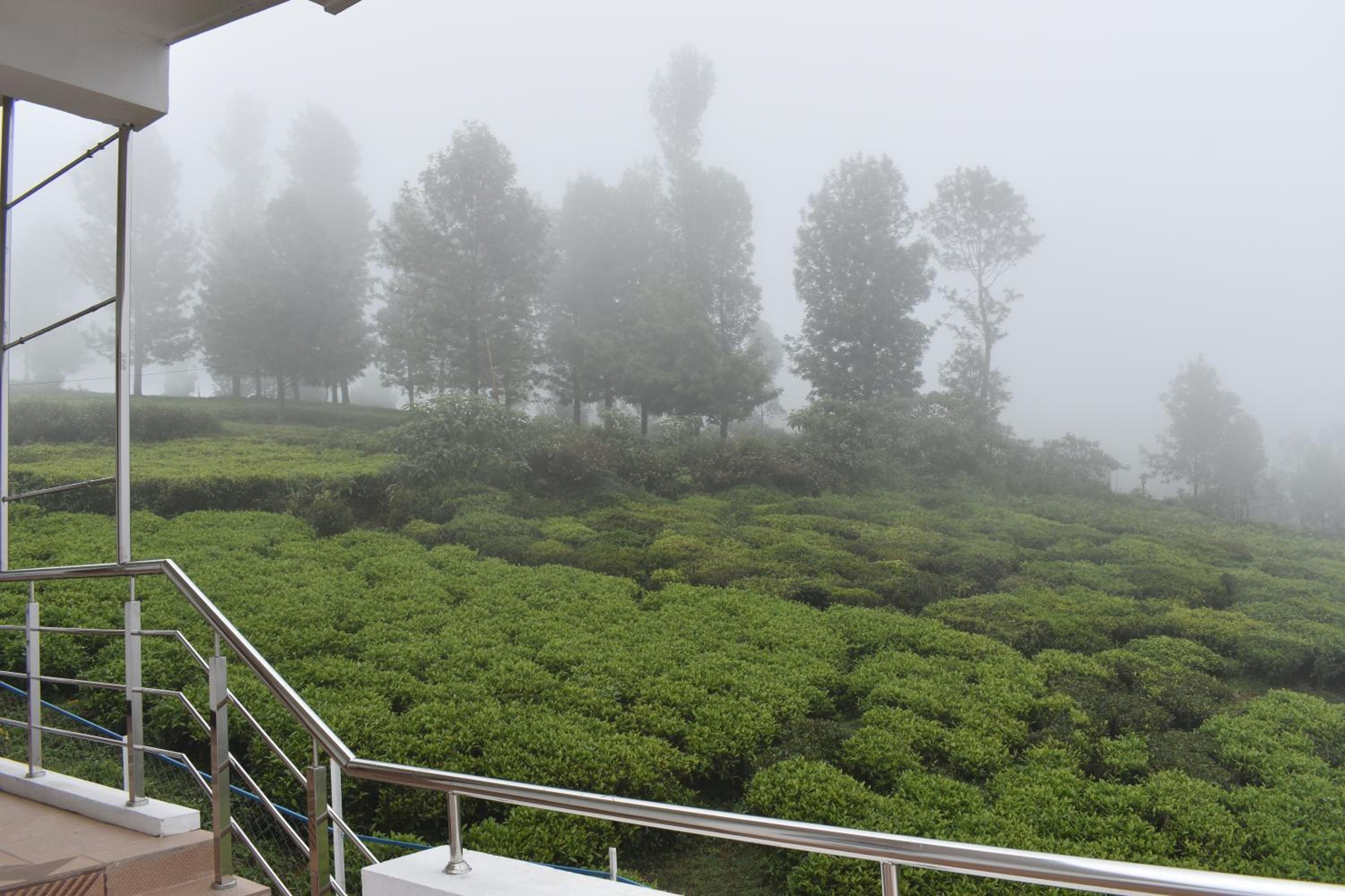 DIAMOND HILL VIEW, photo 42