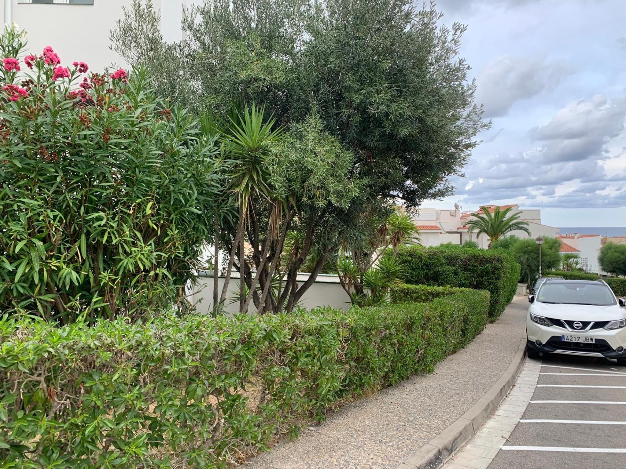 La Marina de Aiguadolç photo 3