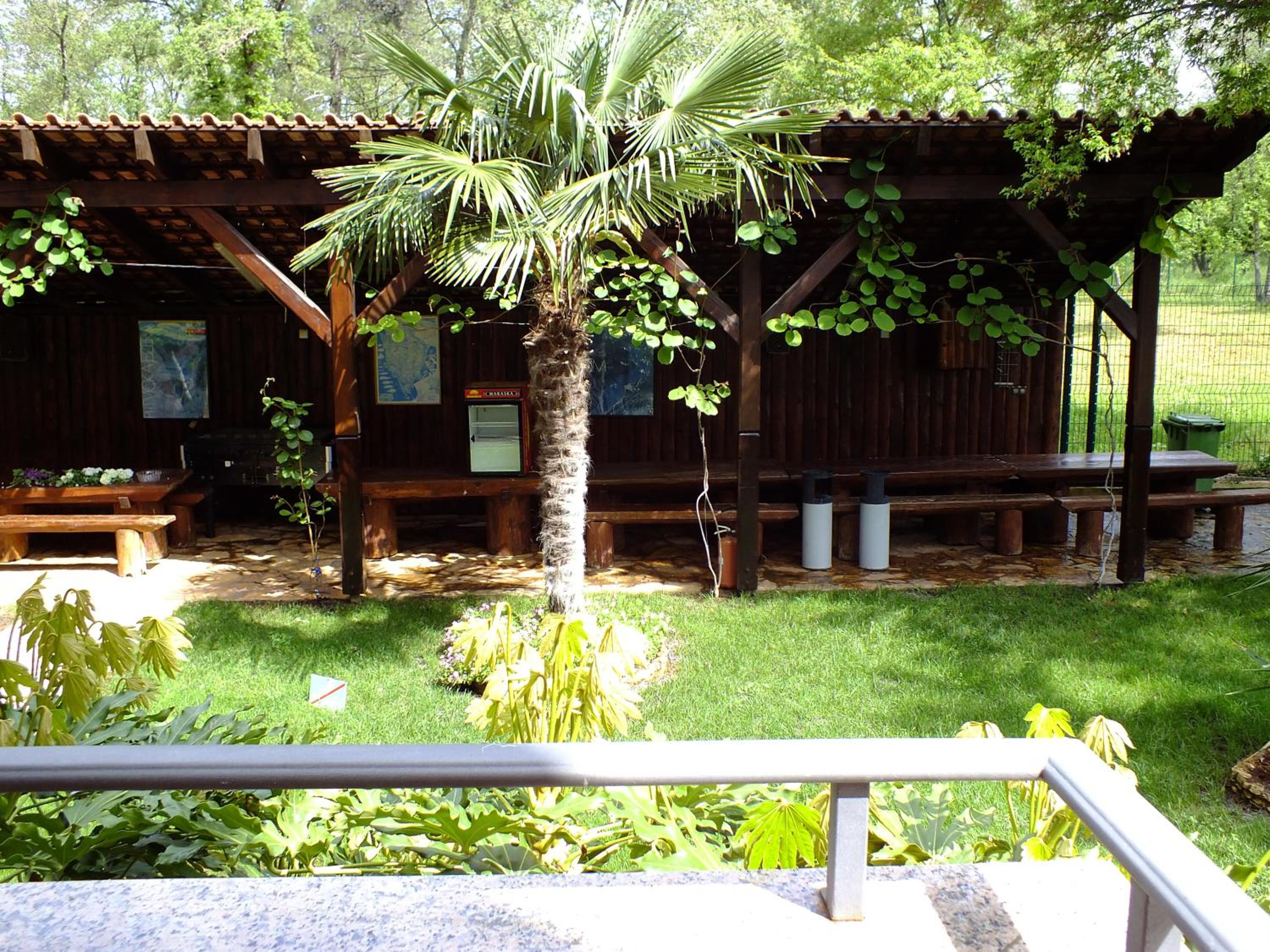 Photo 8