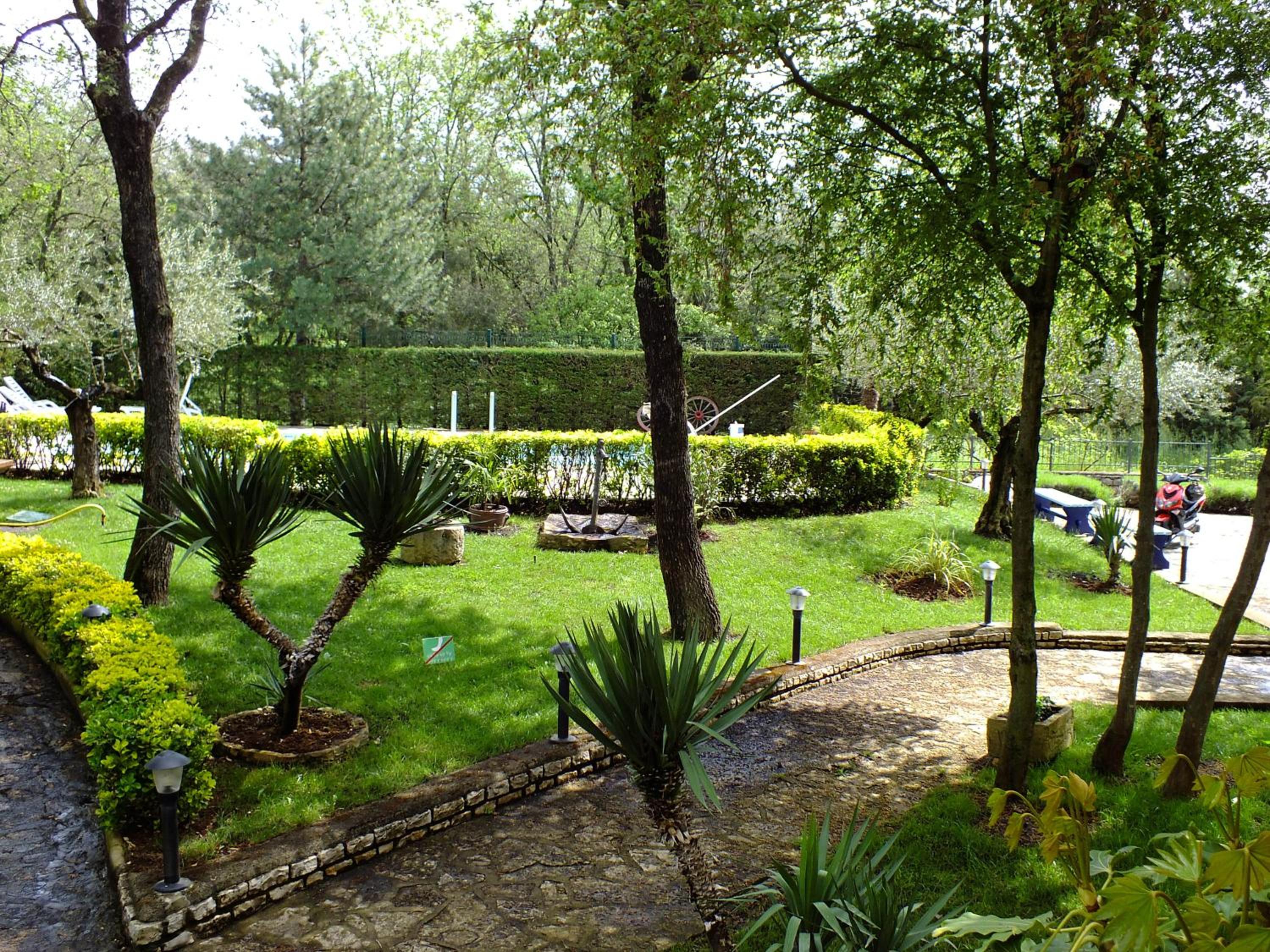 Photo 11