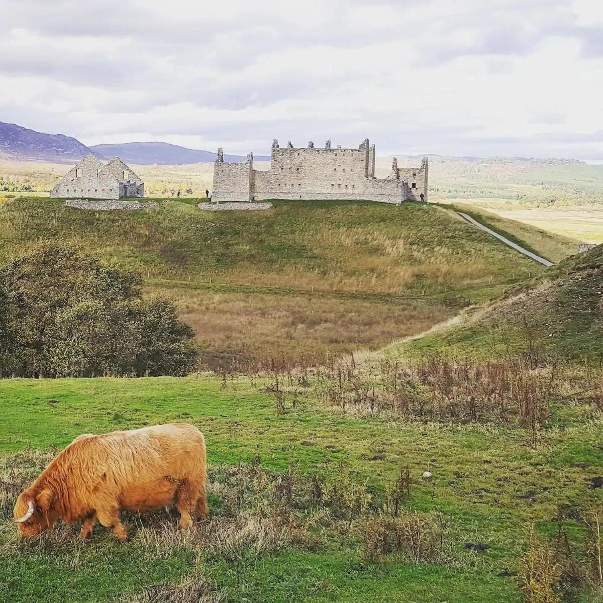 Baltinna East - by Where Stags Roar view 4