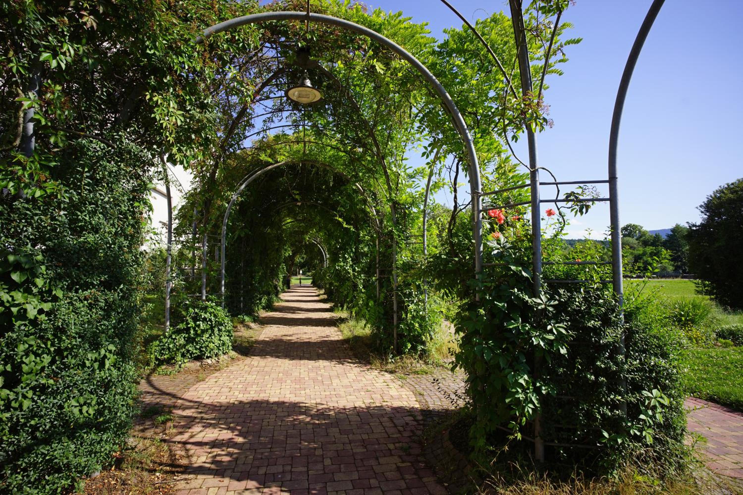 Ferienwohnung Ambiente