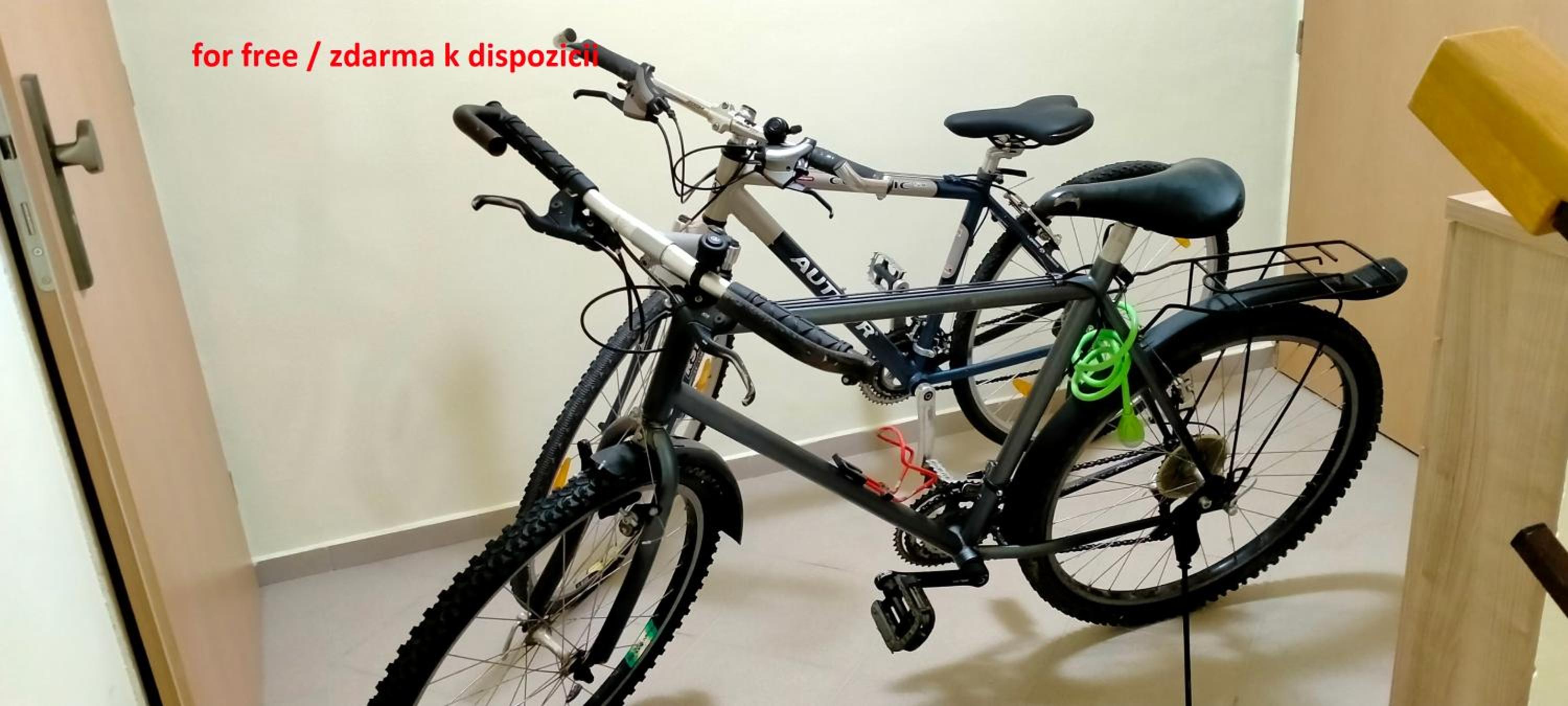 Apartment SKI-BIKE-HIKE, Vyšné Ružbachy