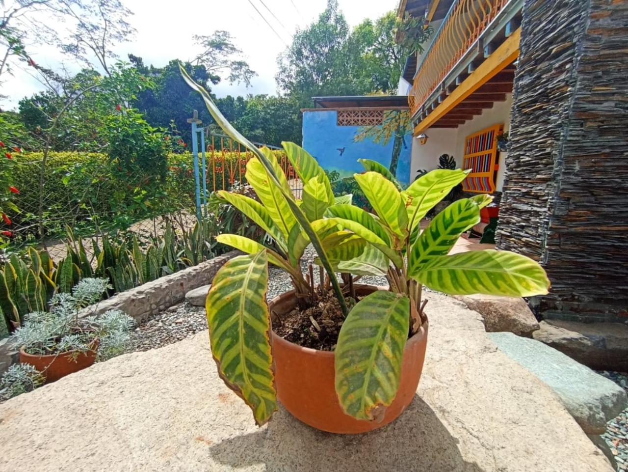 Casa de las Rocas Hostel - Property Image 7