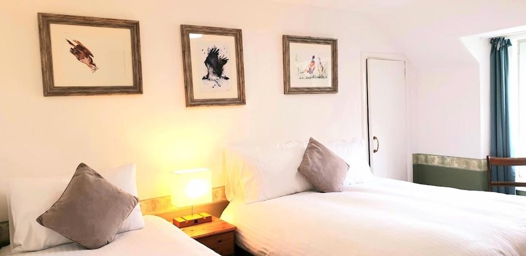 Kingussie Vacations - The Osprey Hotel - Property Image 3