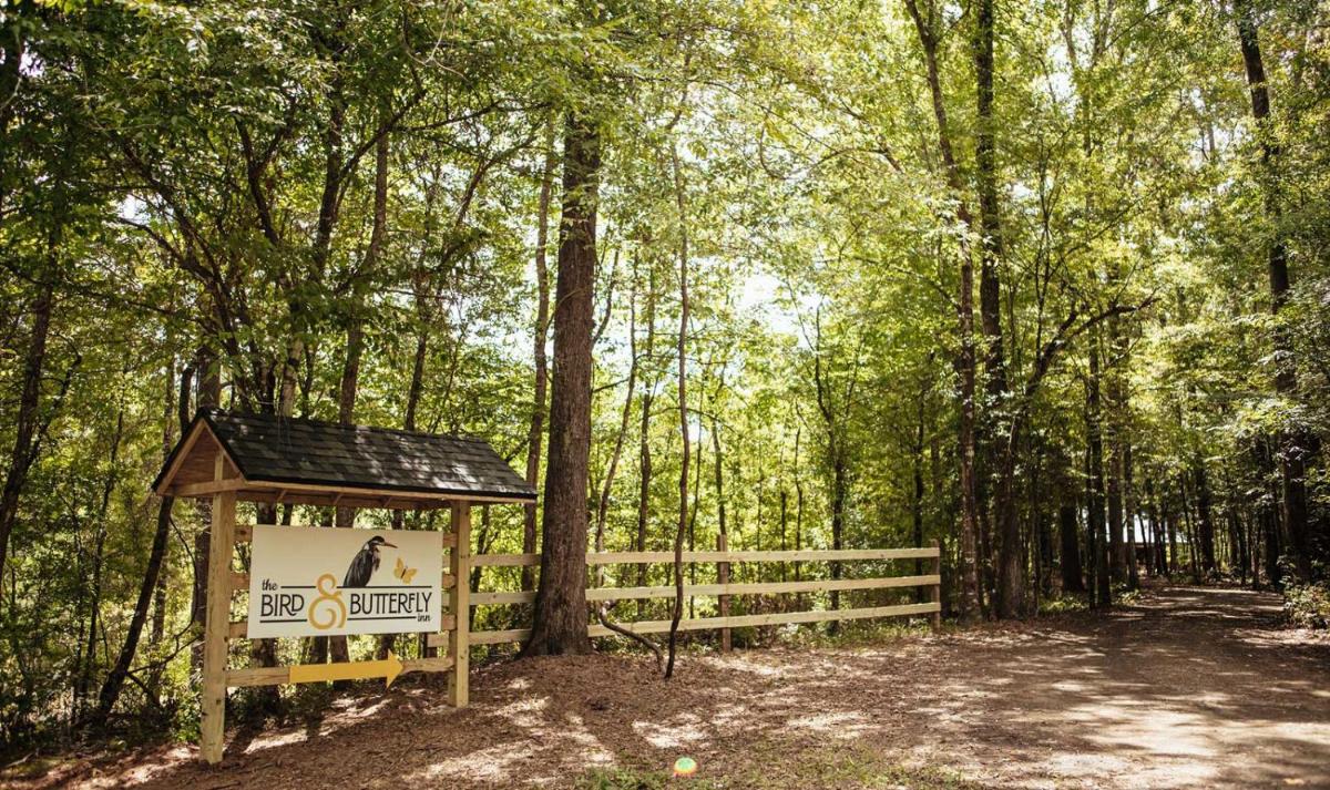 Jasper Vacations - The Bird  Butterfly Inn - Property Image 30