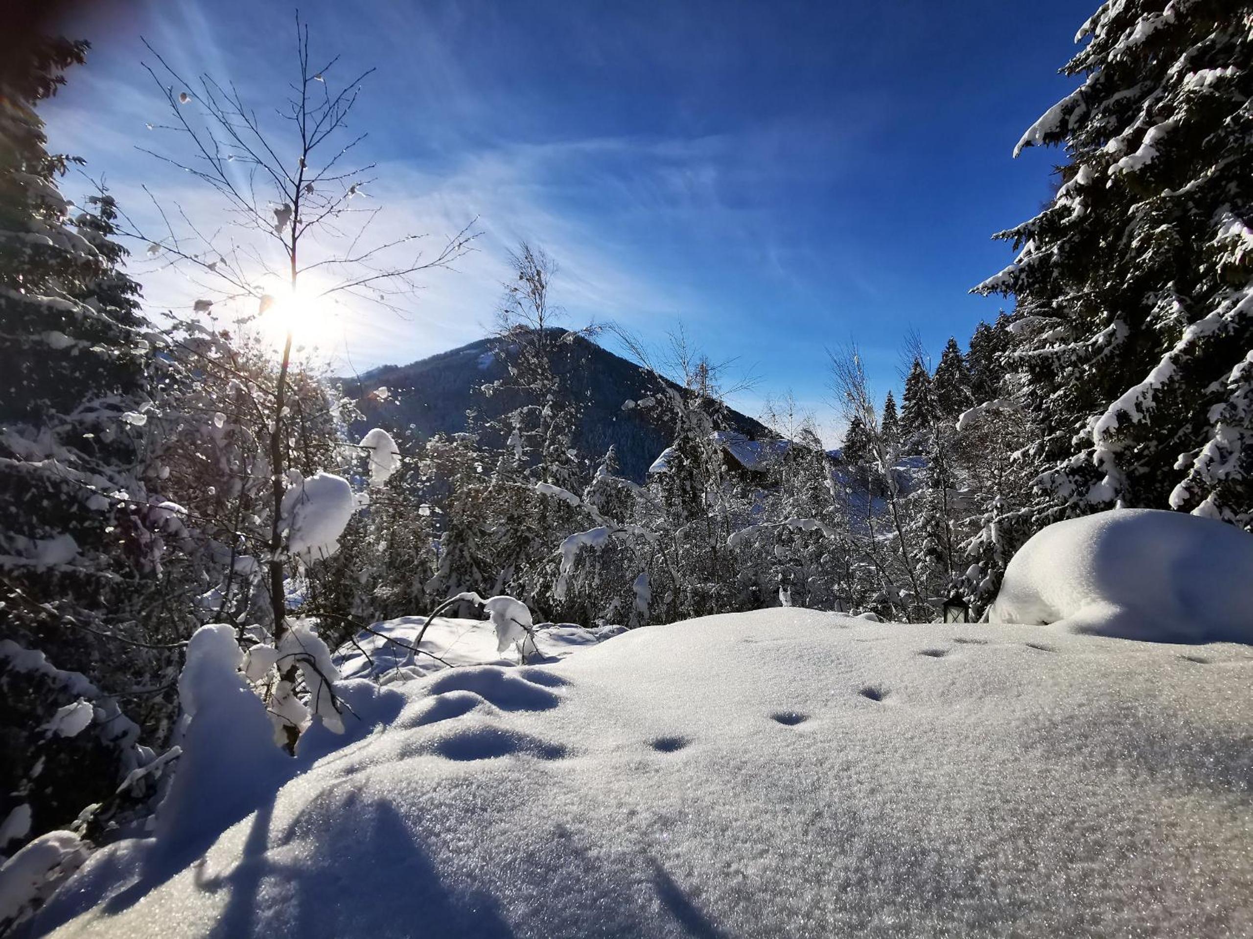 Chalet Caprea