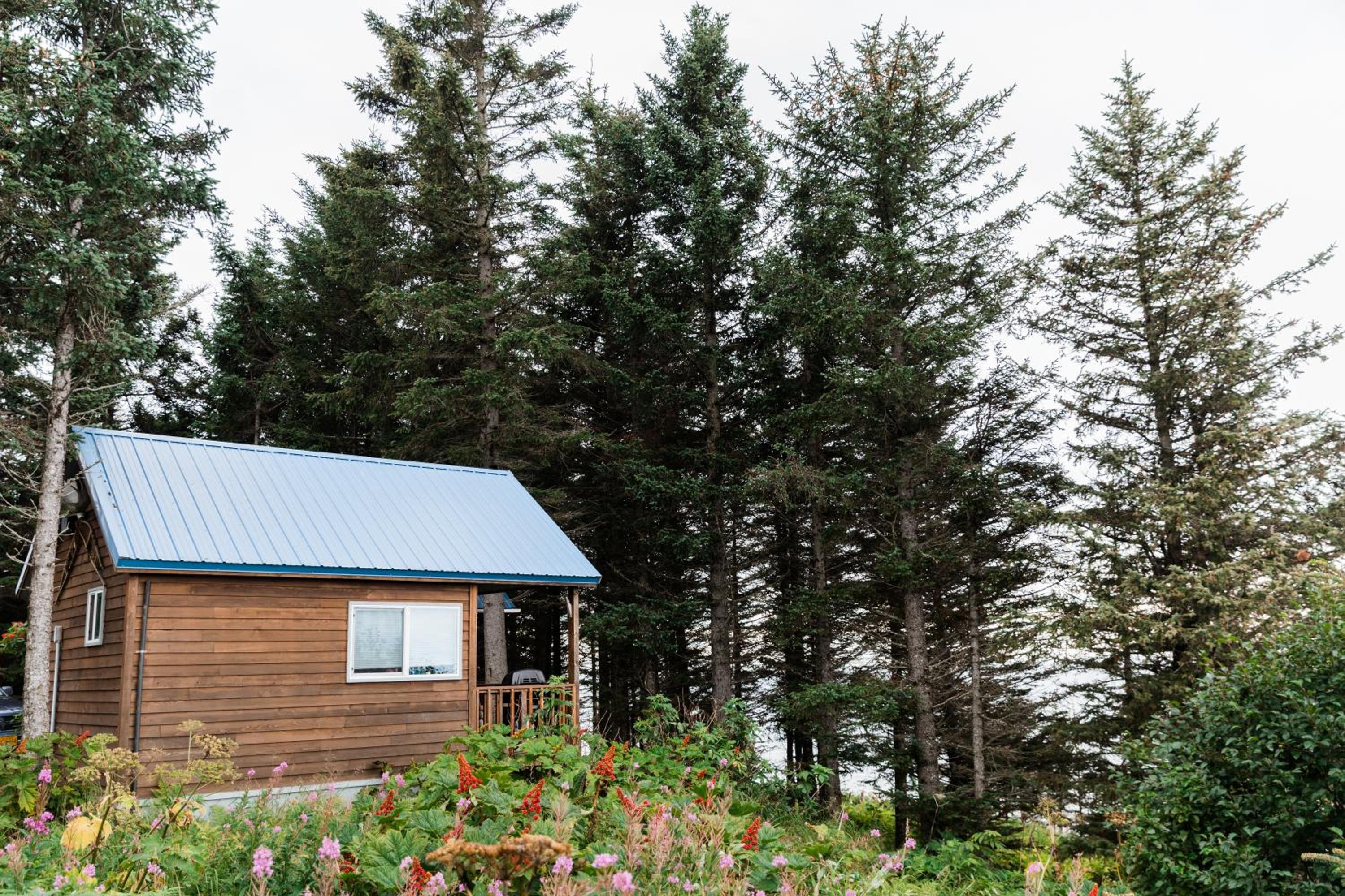 Lost Anchor Cabins - Ocean-view cabins on the bluff view 3