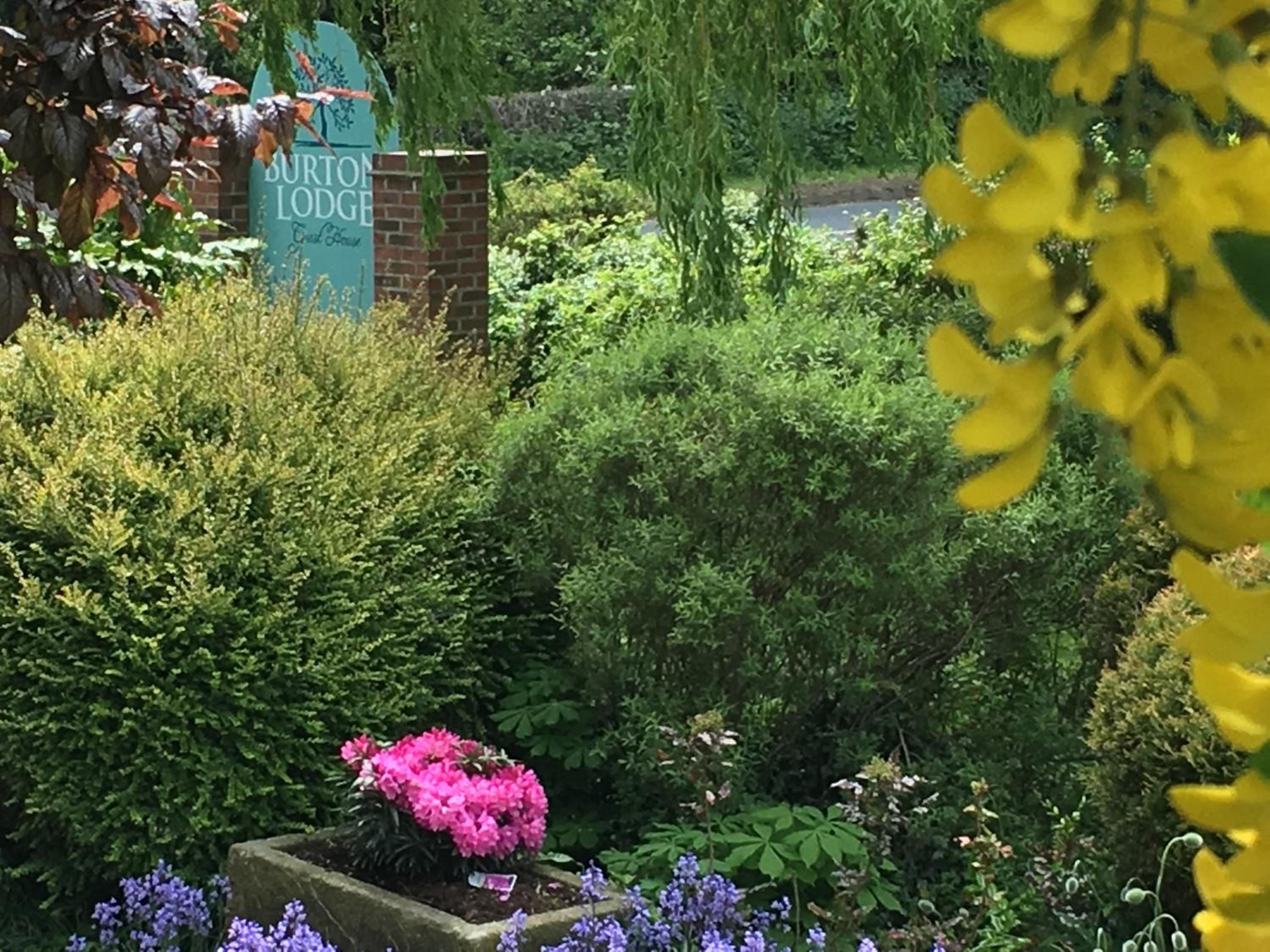 Burton Lodge Guest House & Spa