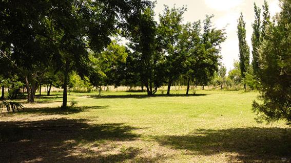 LOS CHAÑARES CASAS DE CAMPO
