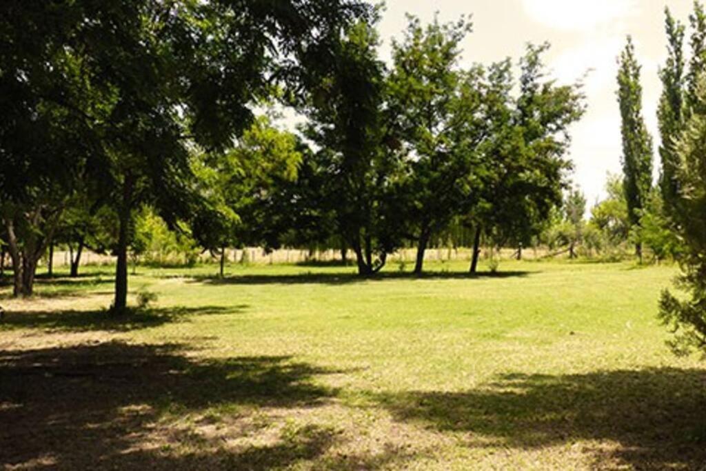 LOS CHAÑARES CASAS DE CAMPO