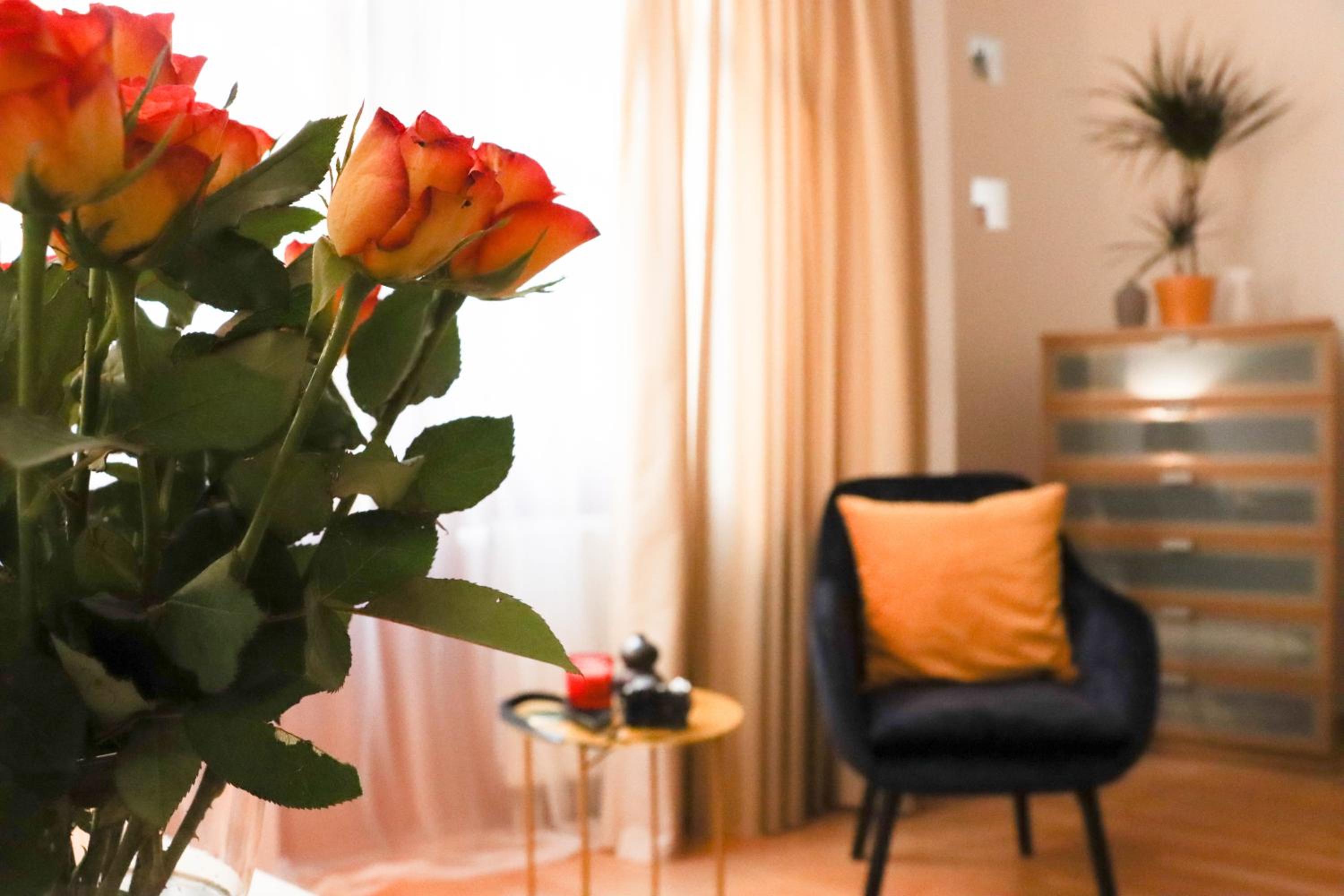 Josephine apartment view 2