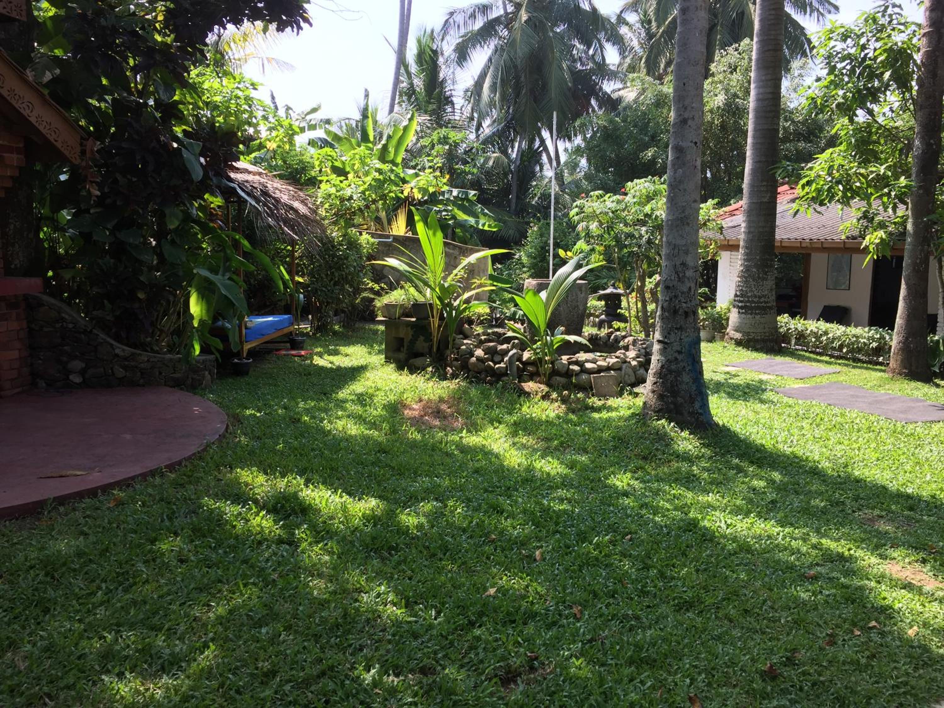 Photo 8
