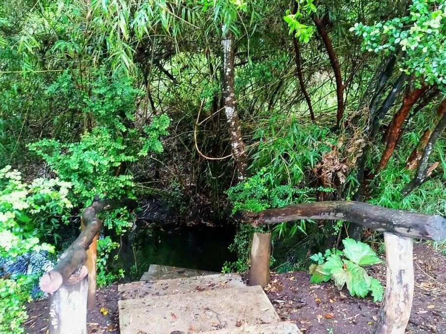 Agradable cabaña a pasos de Ojos del Caburgua