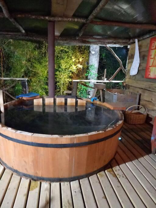 Agradable cabaña a pasos de Ojos del Caburgua