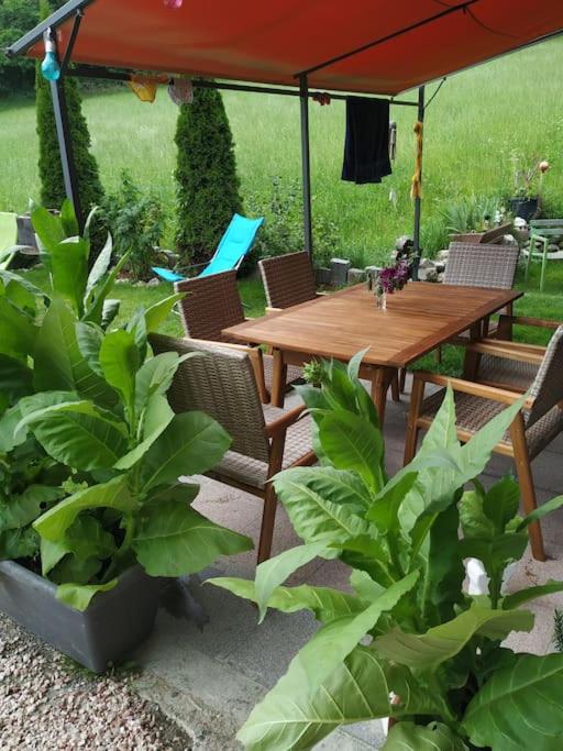 Upcycling Appartement Fischl - Nachhaltig und Kreativ Wohnen für Groß und klein
