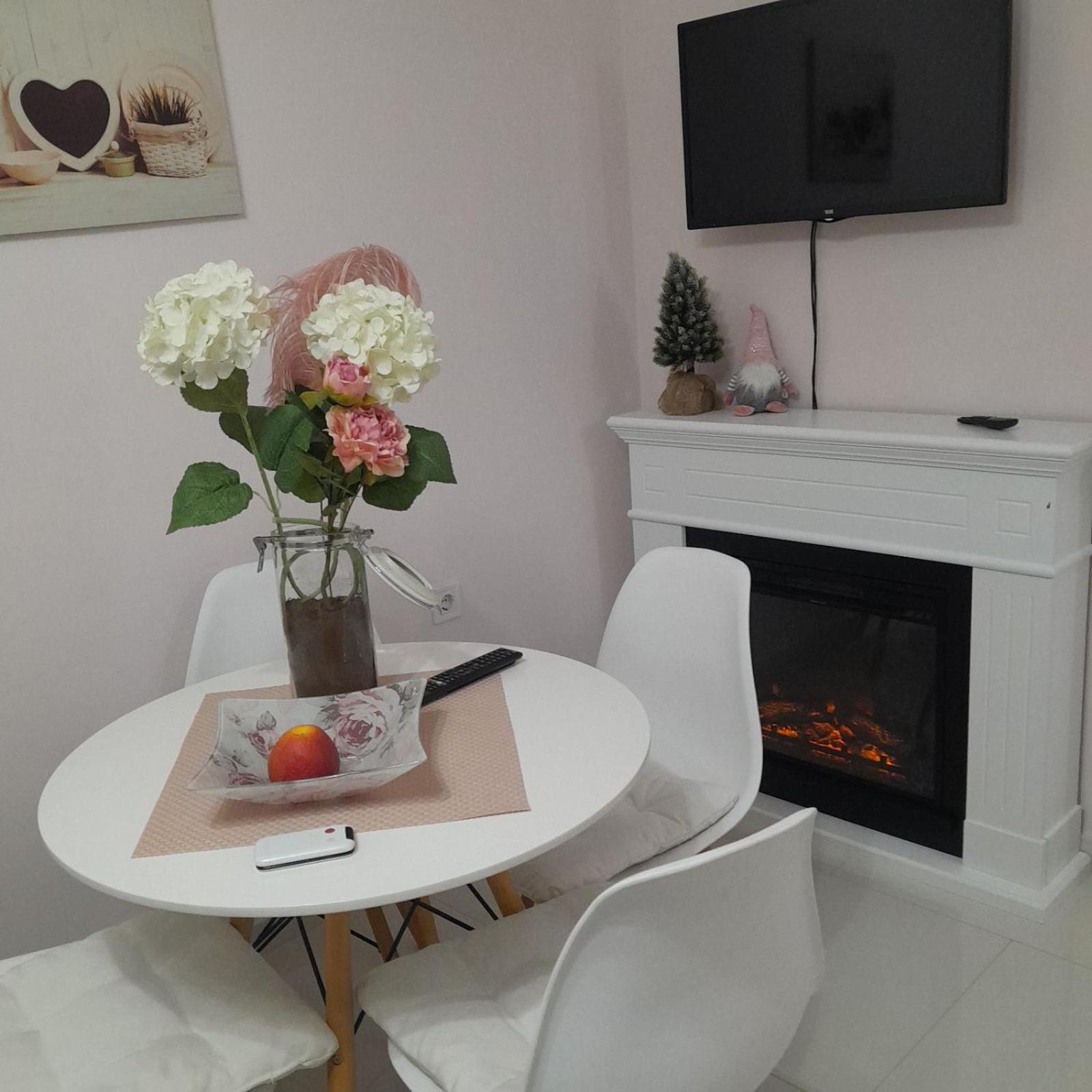 Park Apartment in Niksic view 5