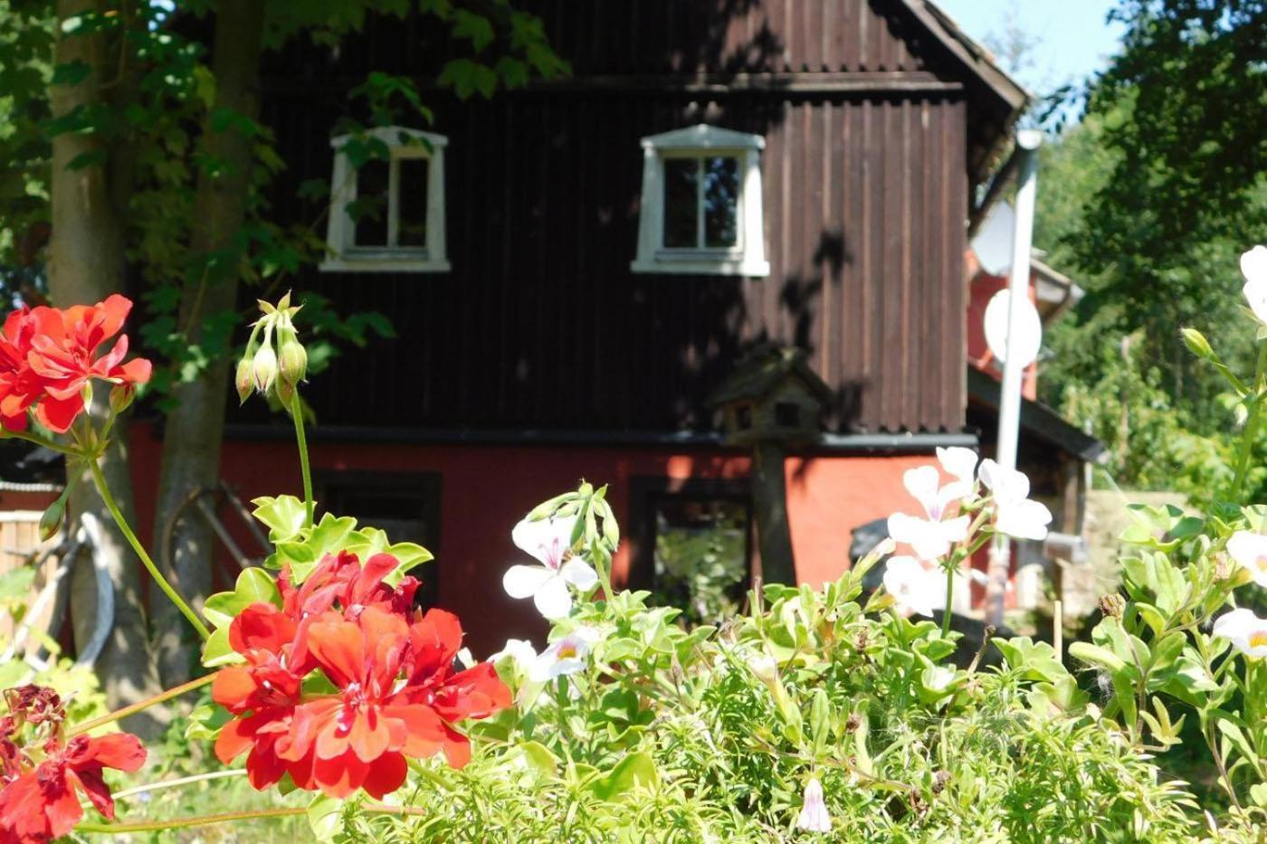 Ferienwohnung 