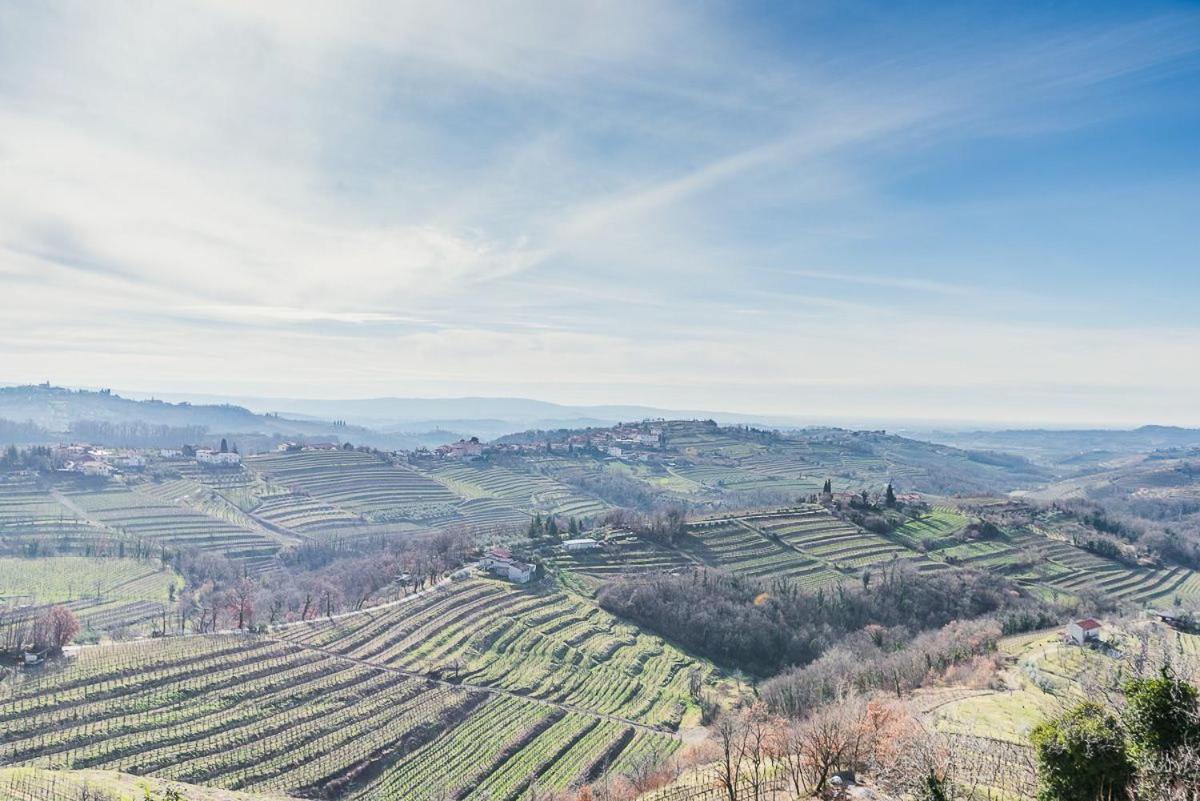 Little Vista view 2
