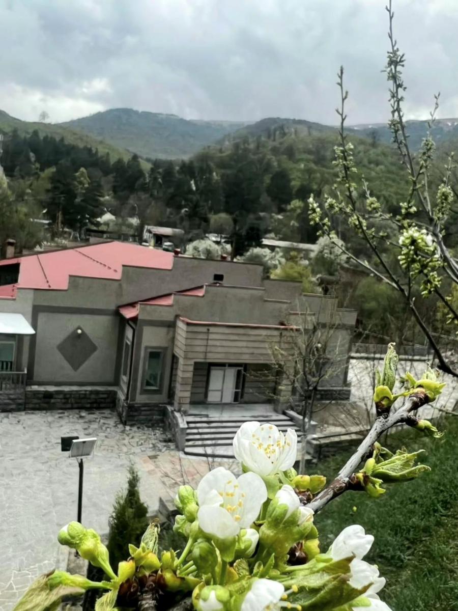 Van Resort