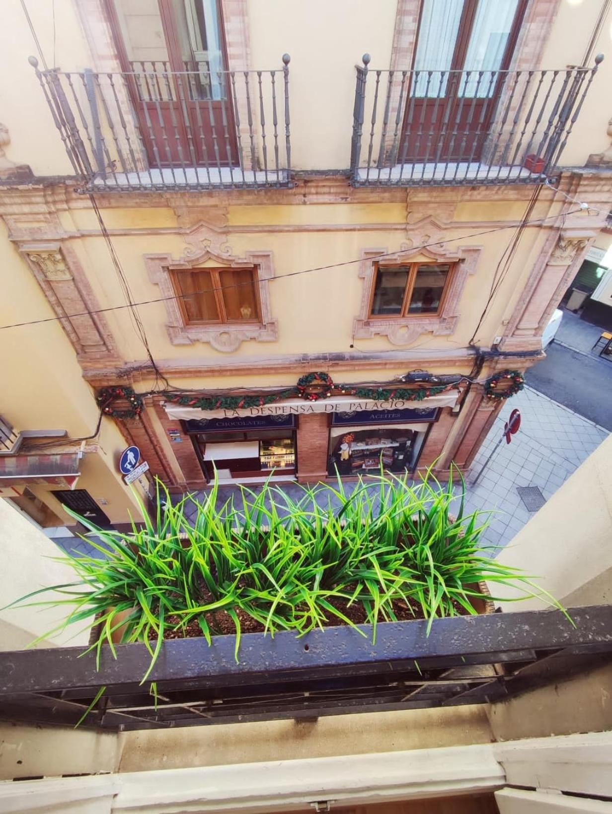 Estudio Centro de Sevilla photo 3