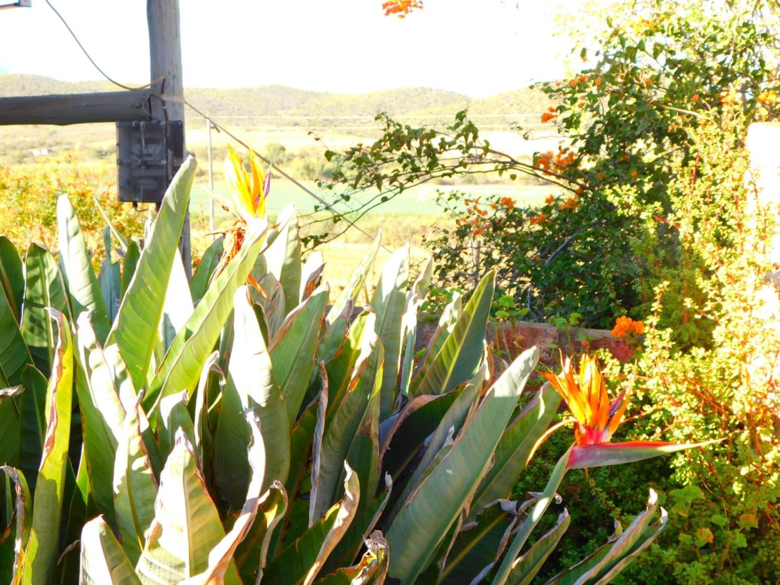 De Rusty Farm