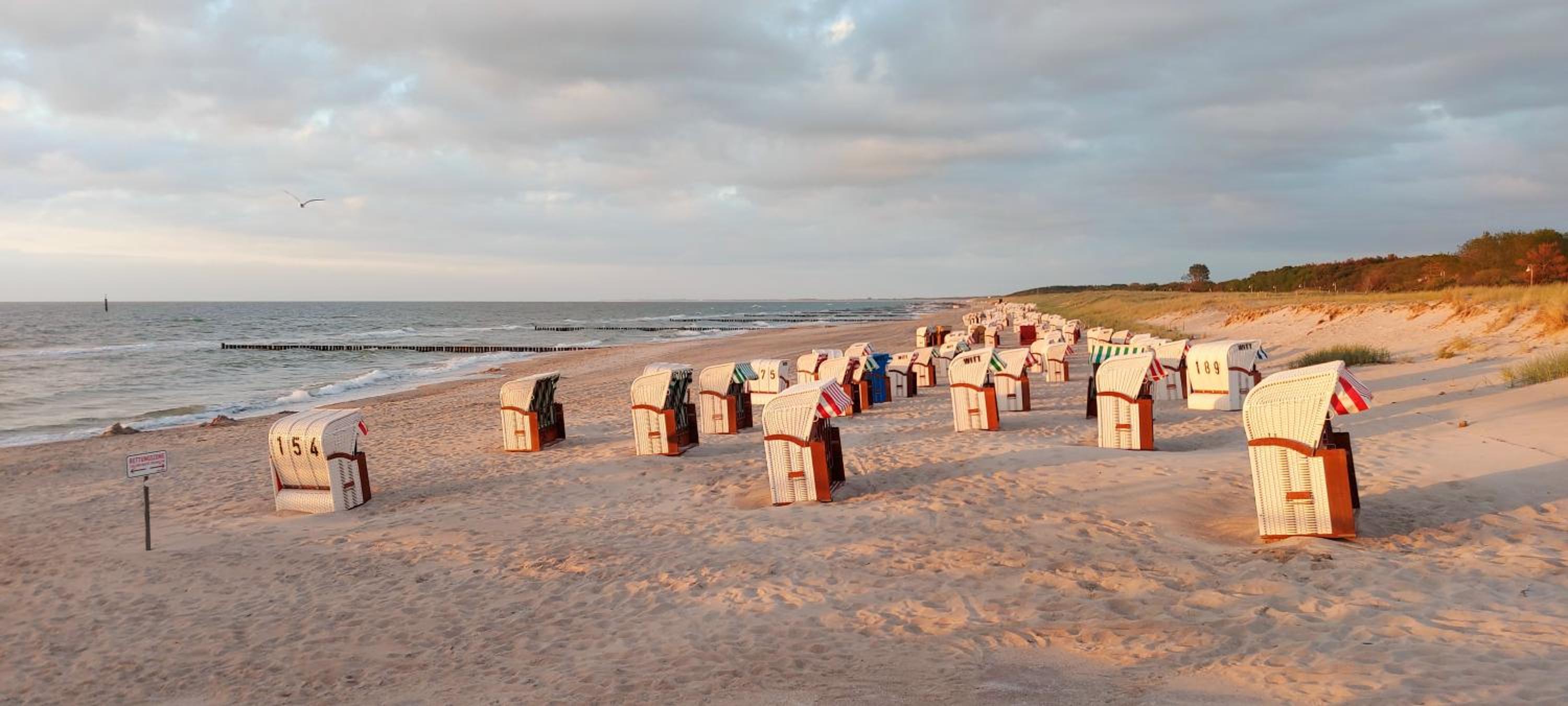 Ferienwohnung Ostsee Graal-Müritz Küstenwald