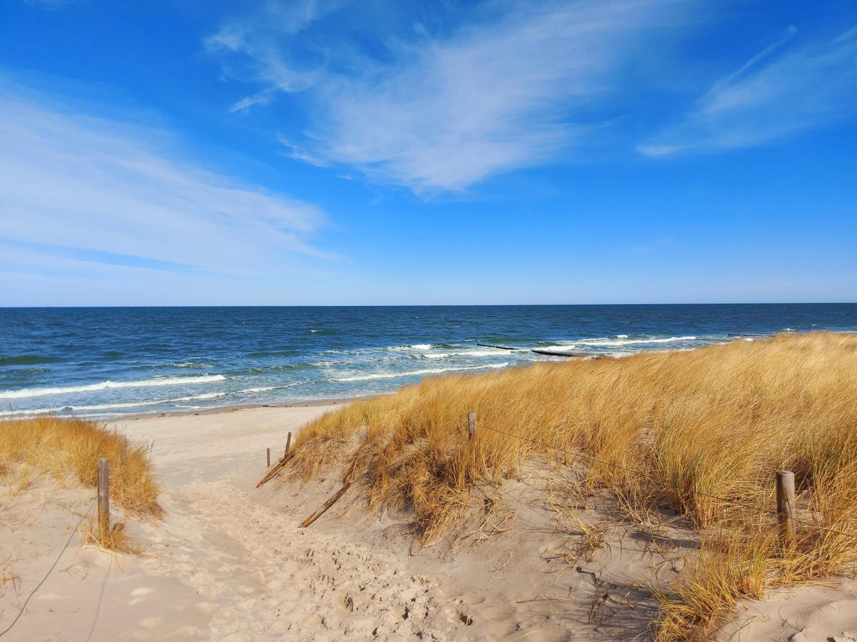 Ferienwohnung Ostsee Graal-Müritz Küstenwald