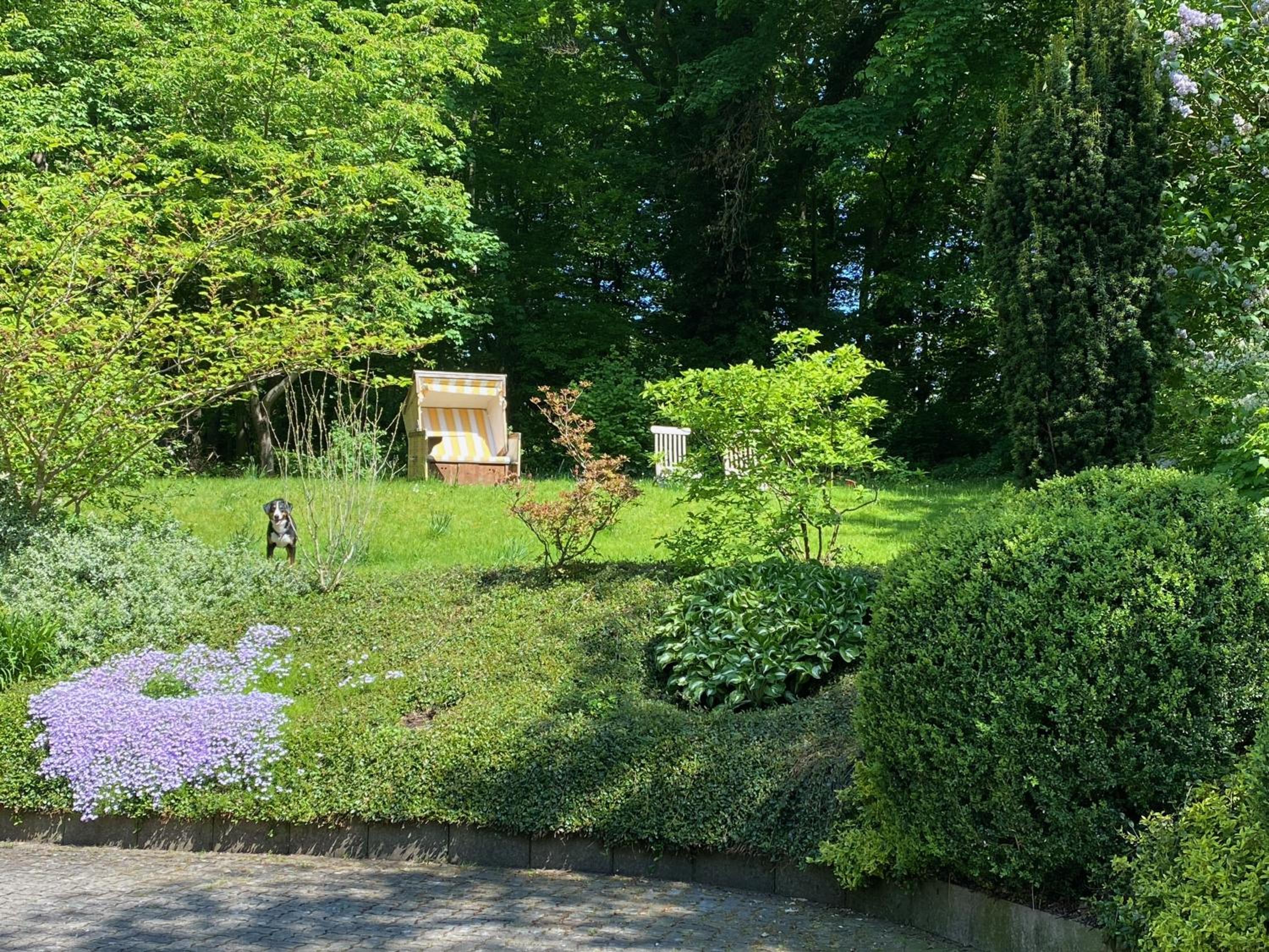 Saunahäuschen view 4