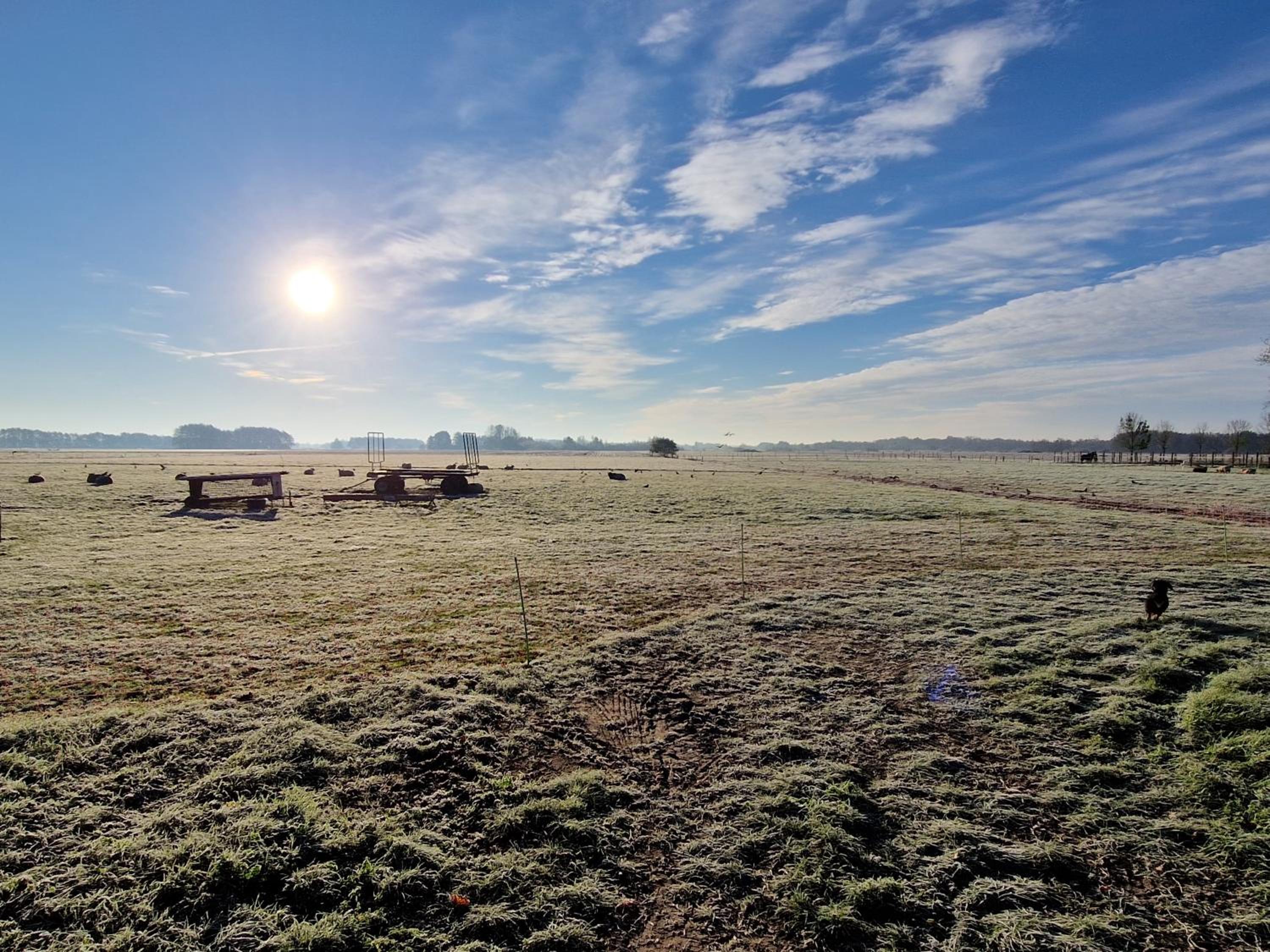 De WiedenWeide view 3