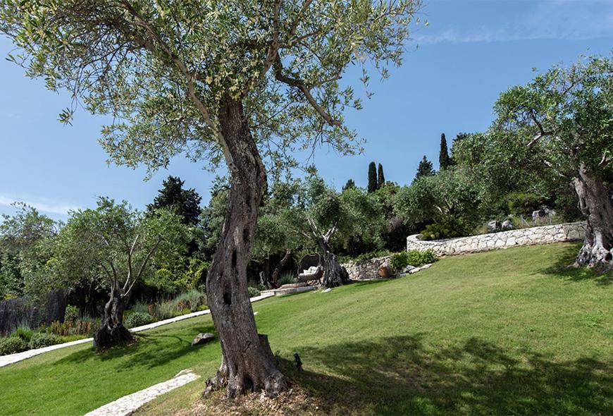 Villa Thea Lofou view 3
